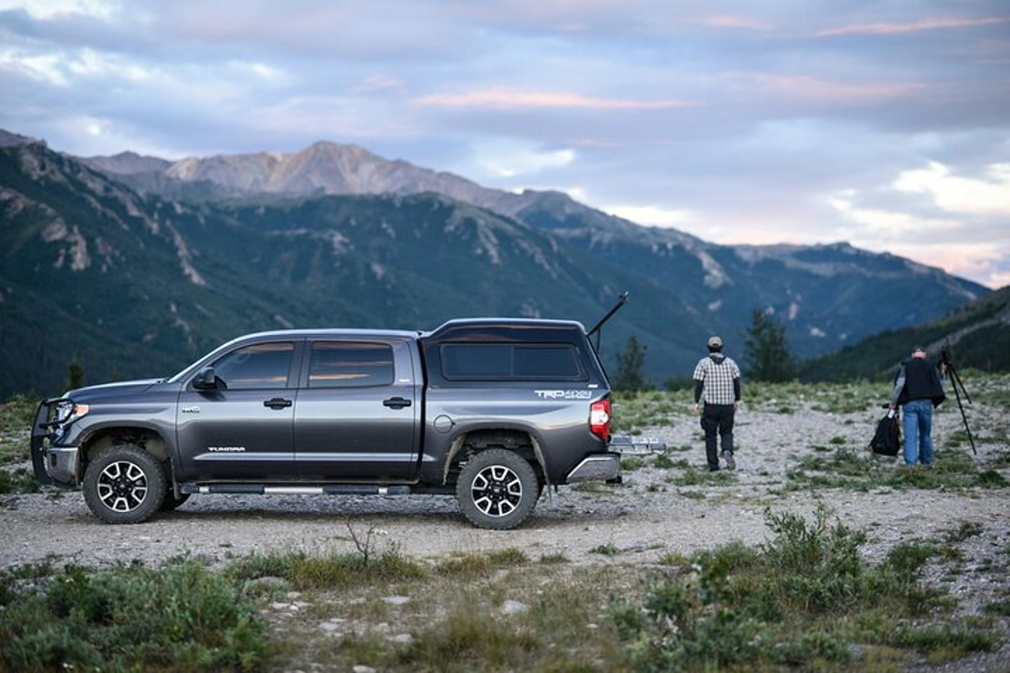 Denali Photo Excursion 3 hr - Image 6