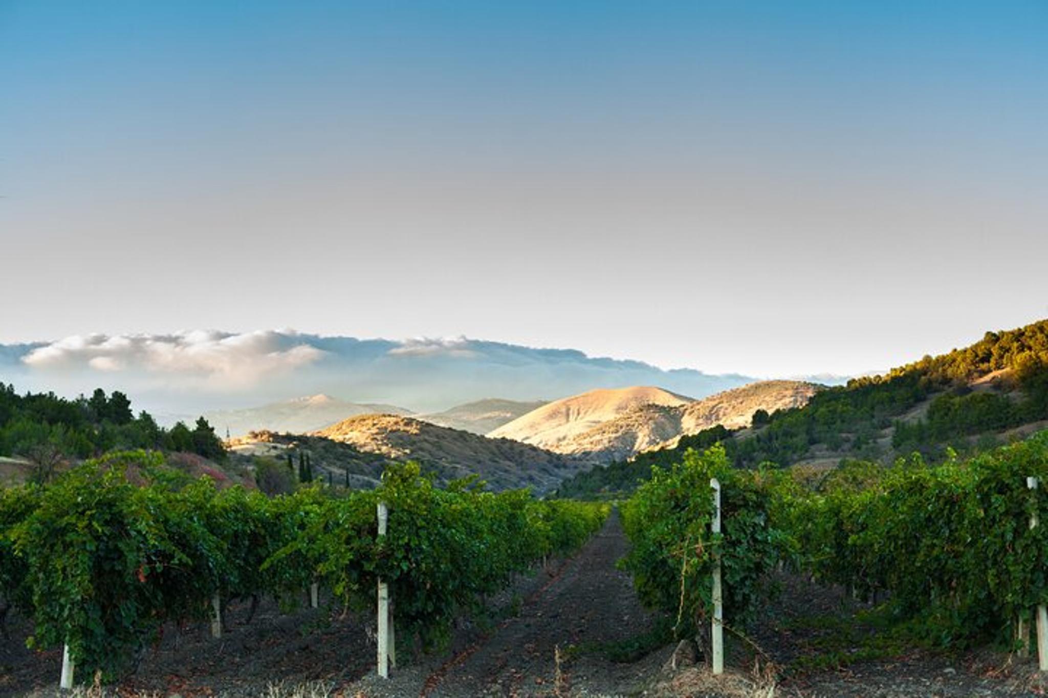 Apple Hill and Carson Road Wine Tasting Pass - Image 3