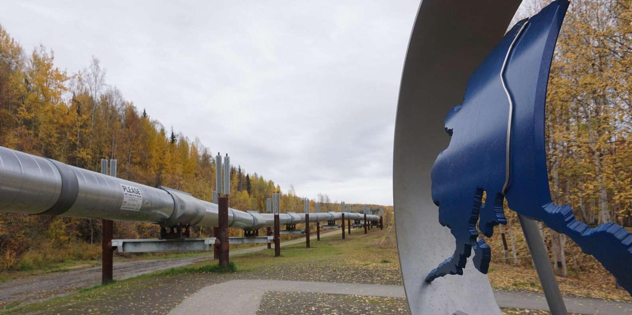Fairbanks City Highlights Tour with Museum Entry - Image 4