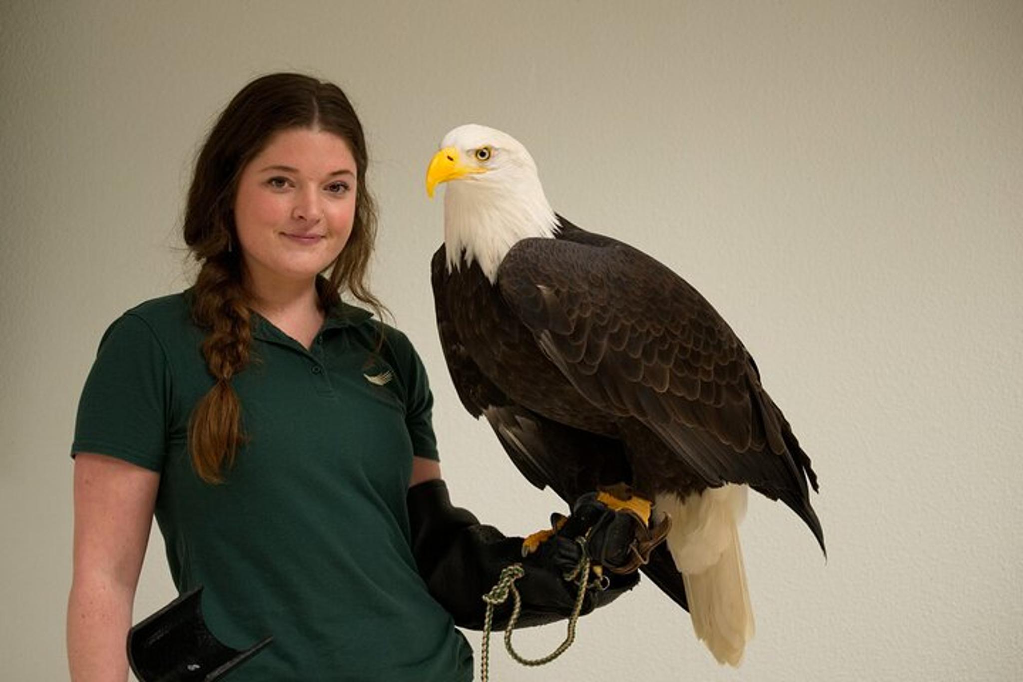 Sitka Raptor Encounter and Dome Experience 45 min