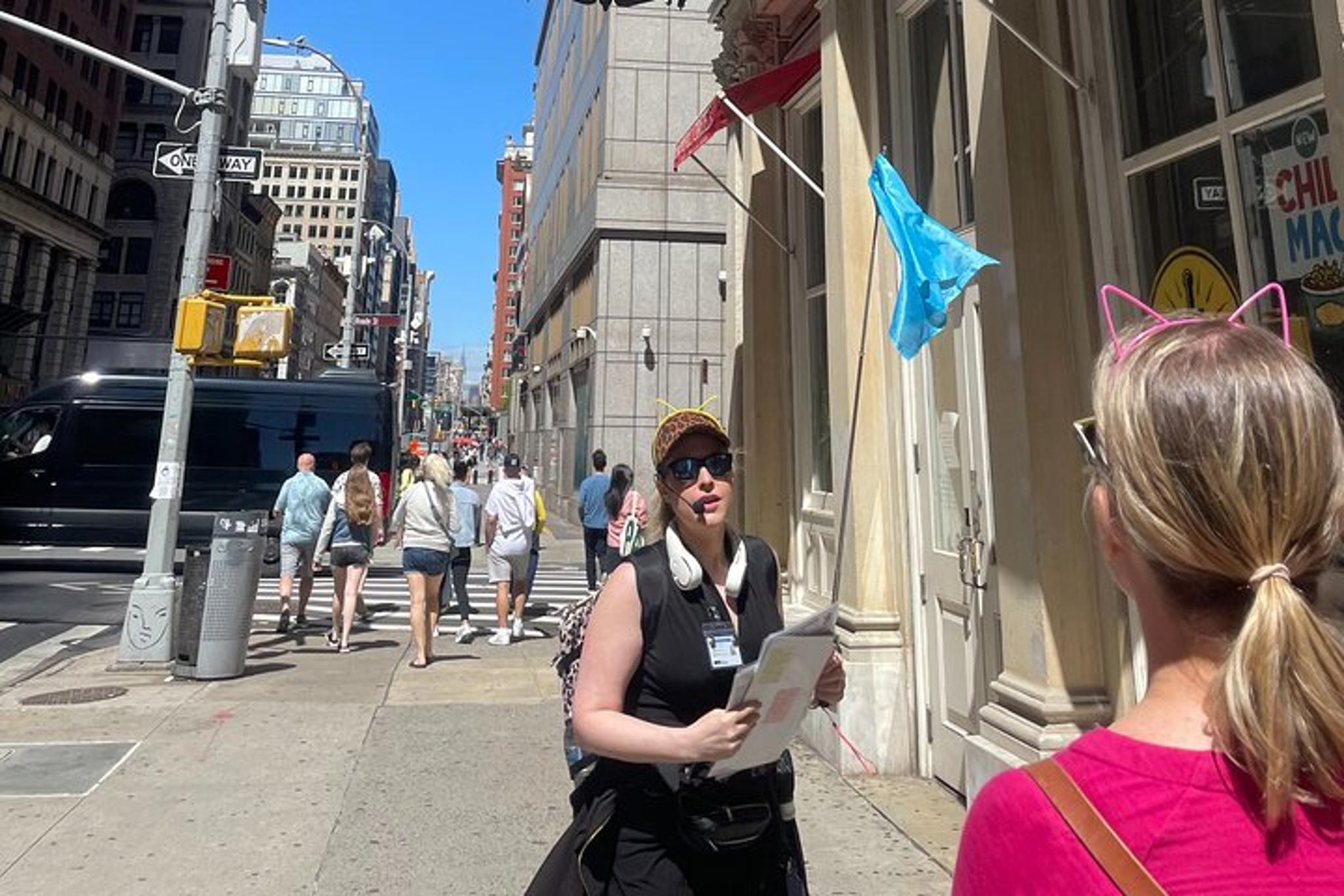 New York Historical Cat Tales Walking Tour - Image 2
