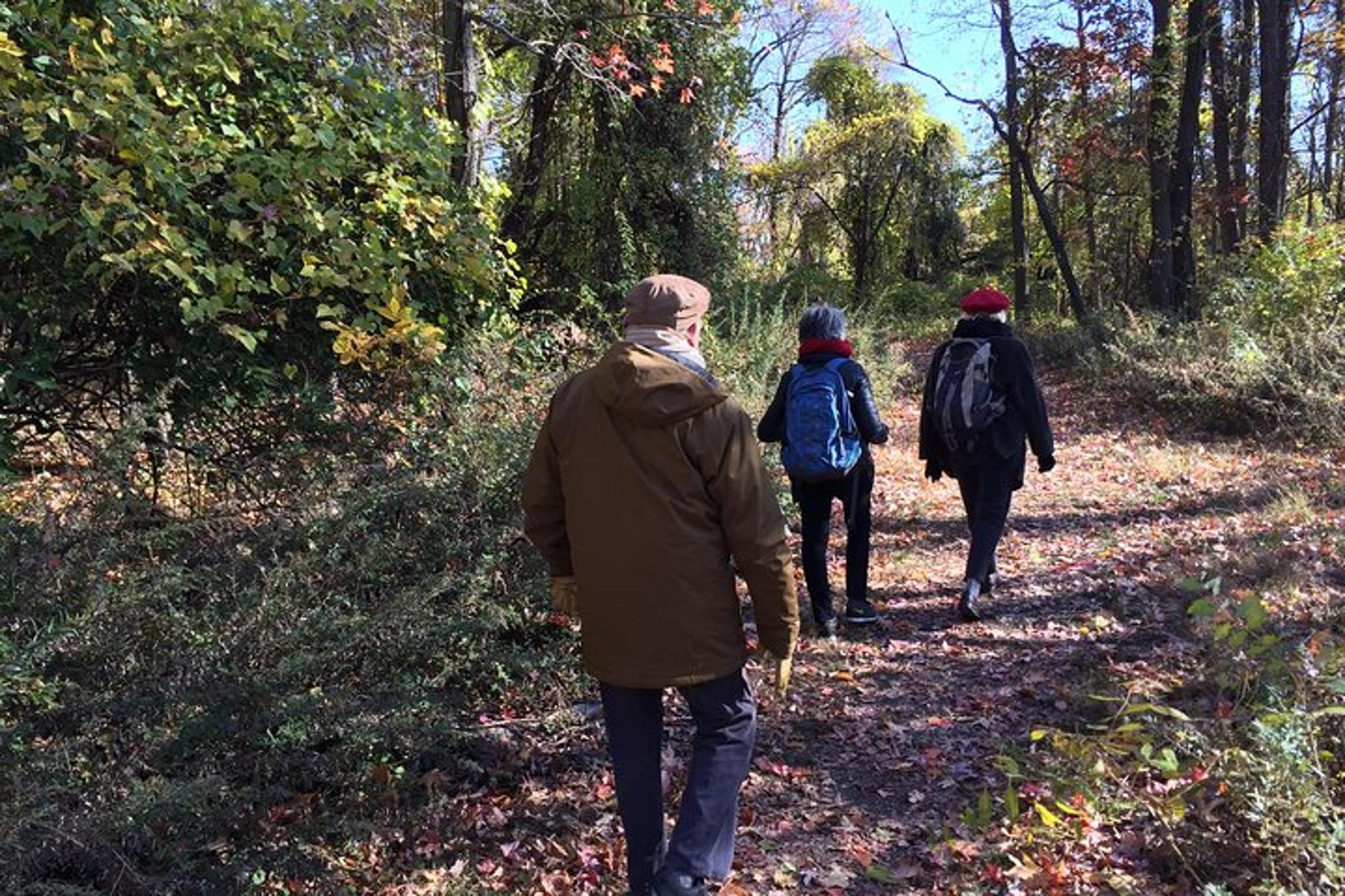 New York George Washington Bridge and Palisades Hike - Image 2