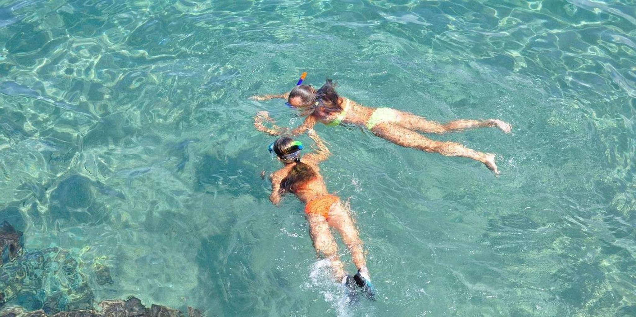 Hilo Snorkeling Tour with Nature Walk - Image 3