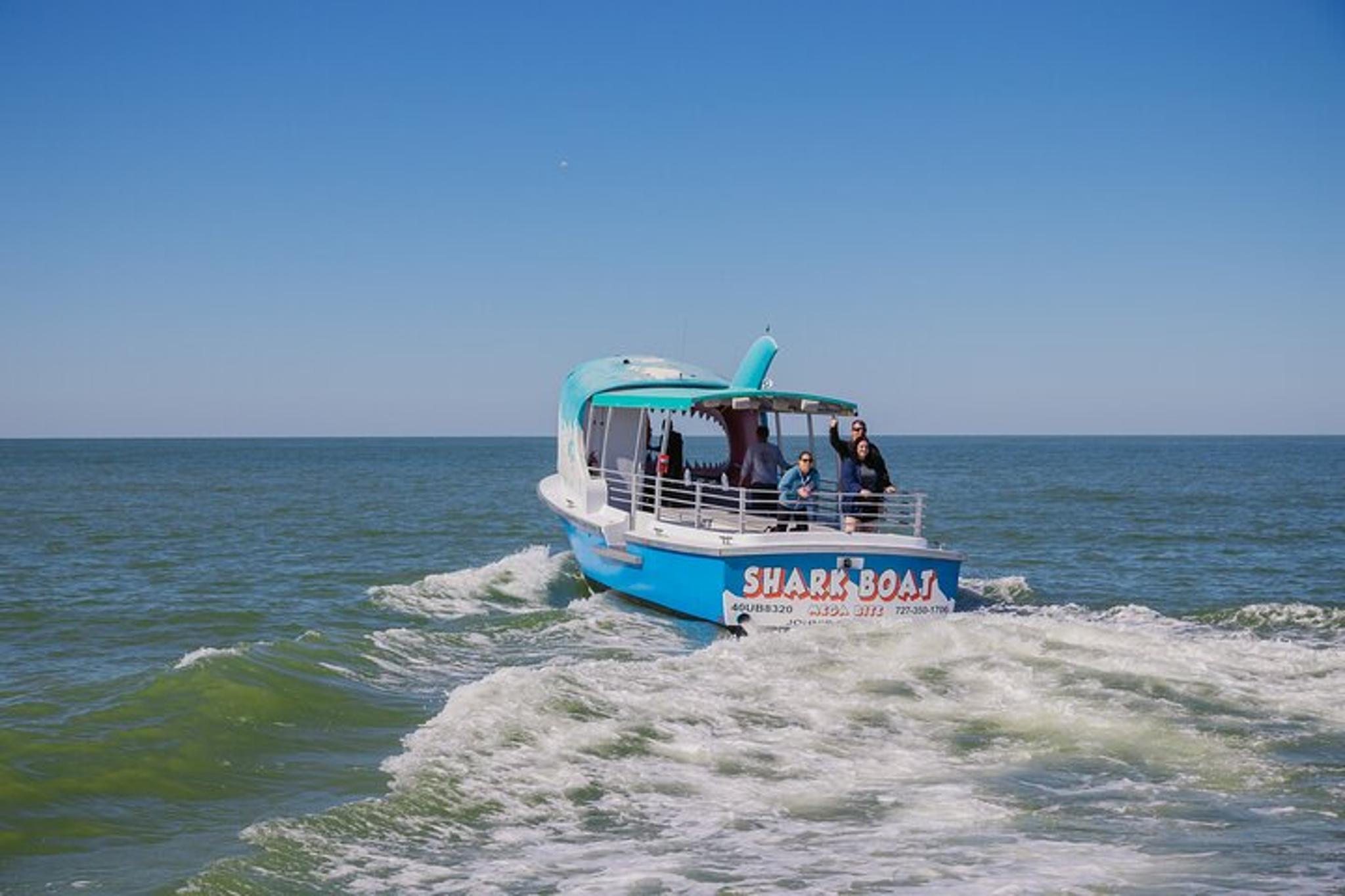Madeira Beach Dolphin Sightseeing Cruise 1 hr - Image 5