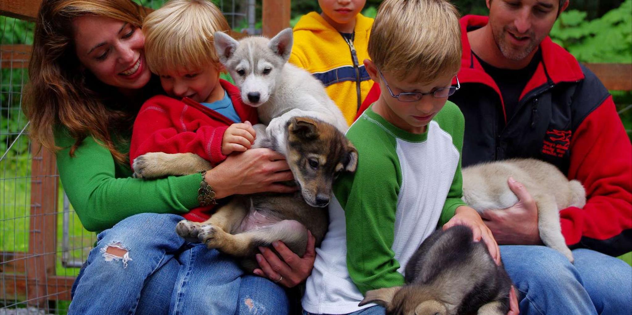 Seward Dog Sled Ride and Kennel Tour - Image 2