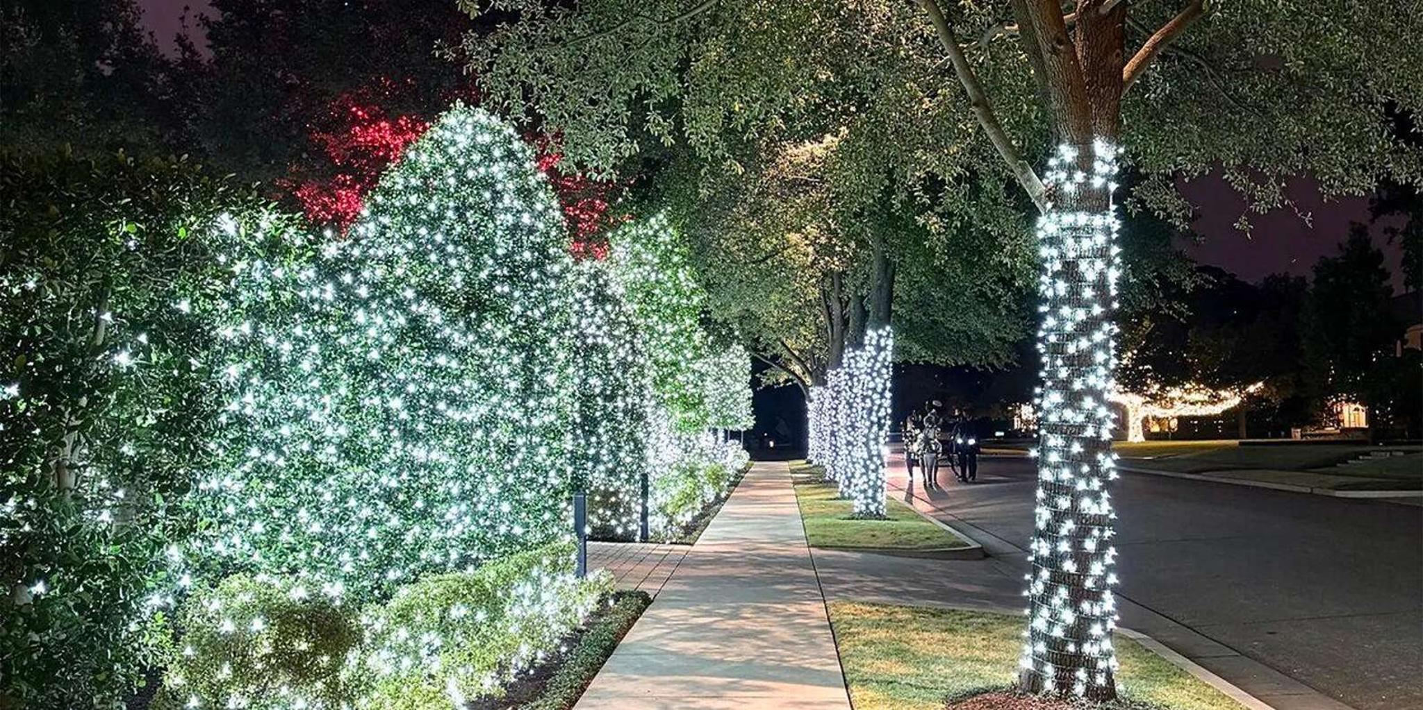 Dallas Holiday Lights Tour Highland Park - Image 2