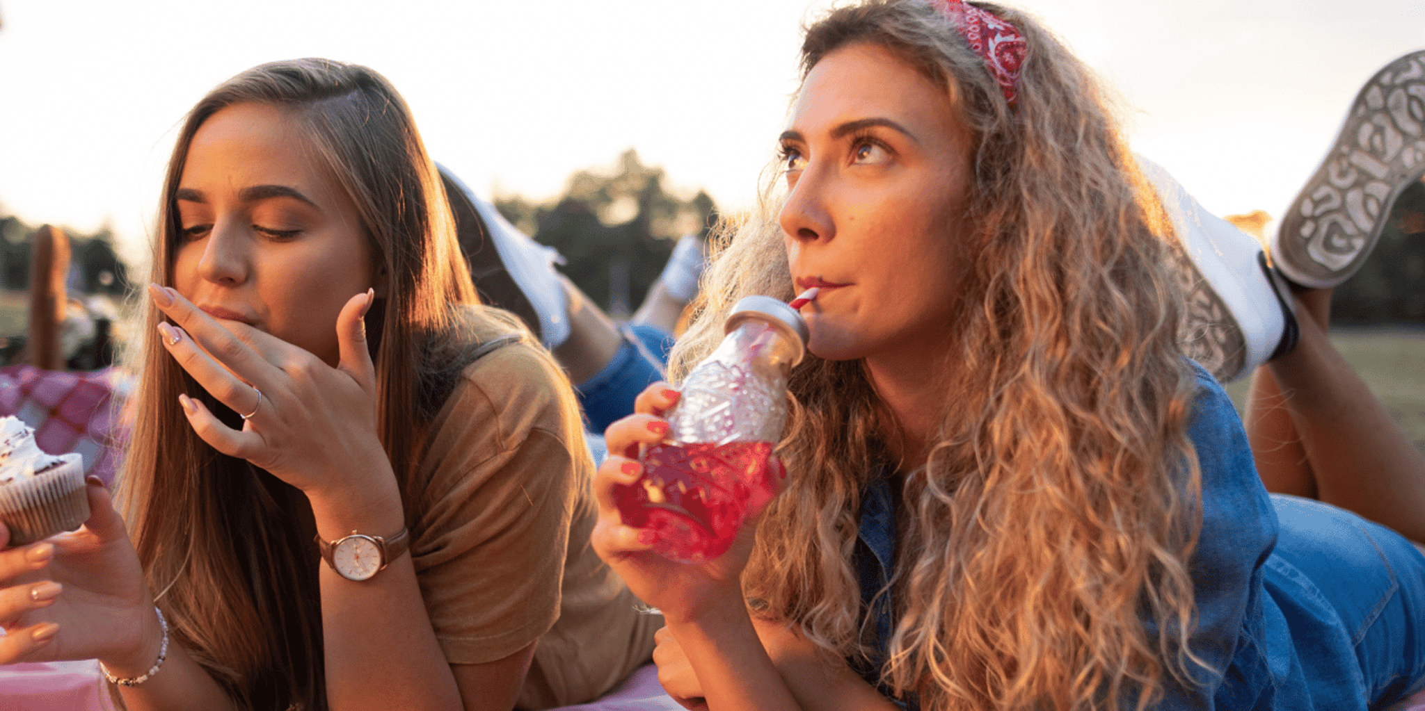 Orlando Picnic Experience - Image 5