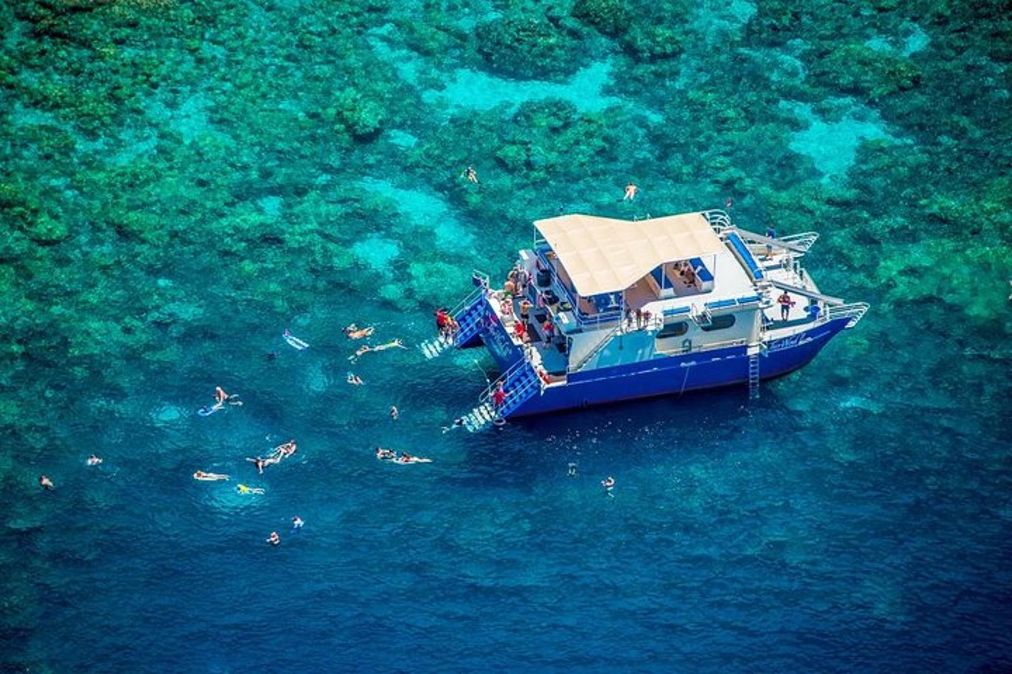 Kona Morning Snorkel Tour in Kealakekua Bay - Image 2