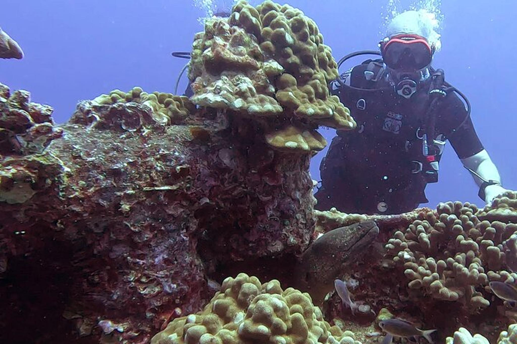 Waikiki Scuba Diving Adventure for Certified Divers