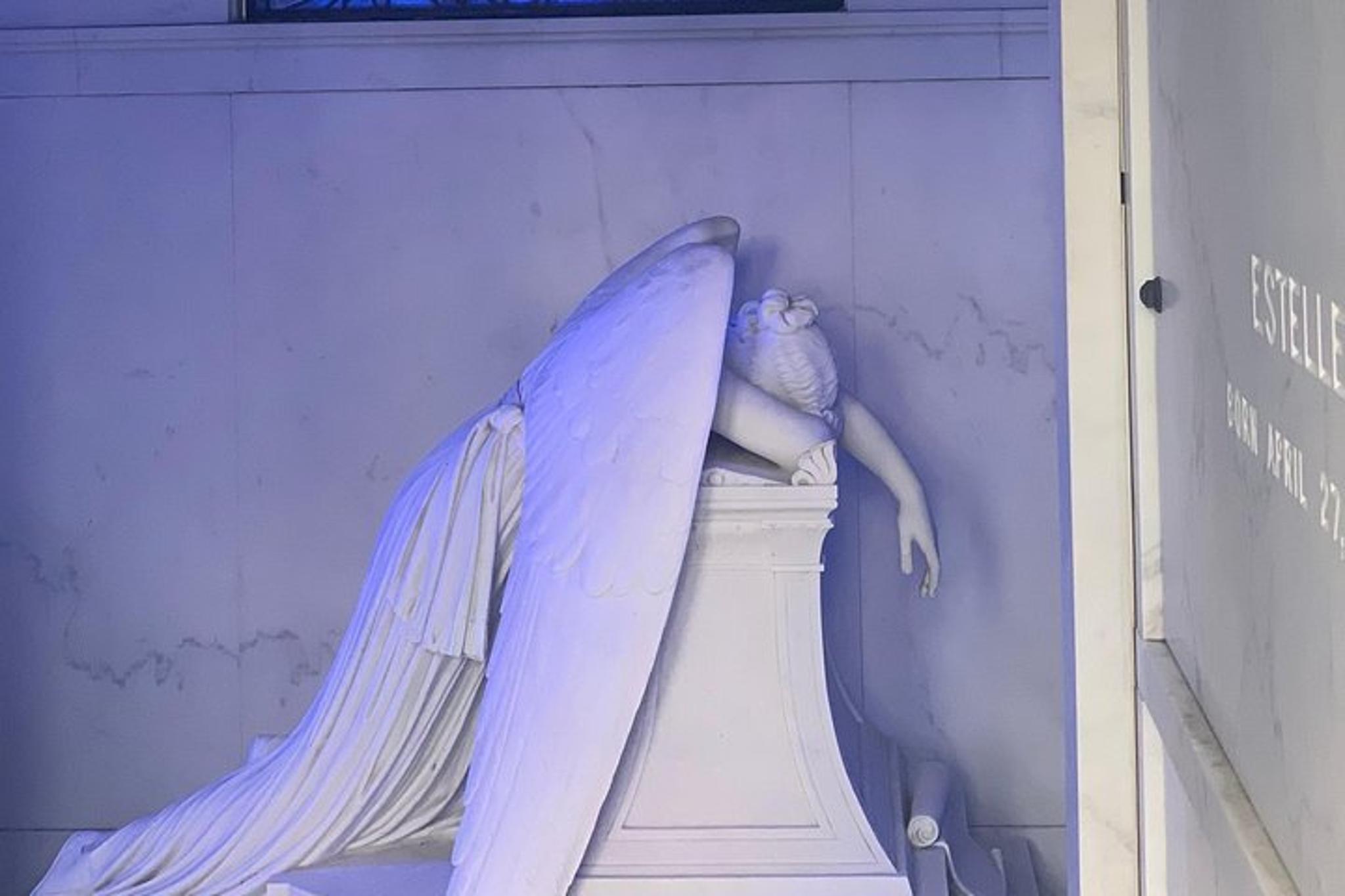 New Orleans Private Driving & Walking Tour - Image 2