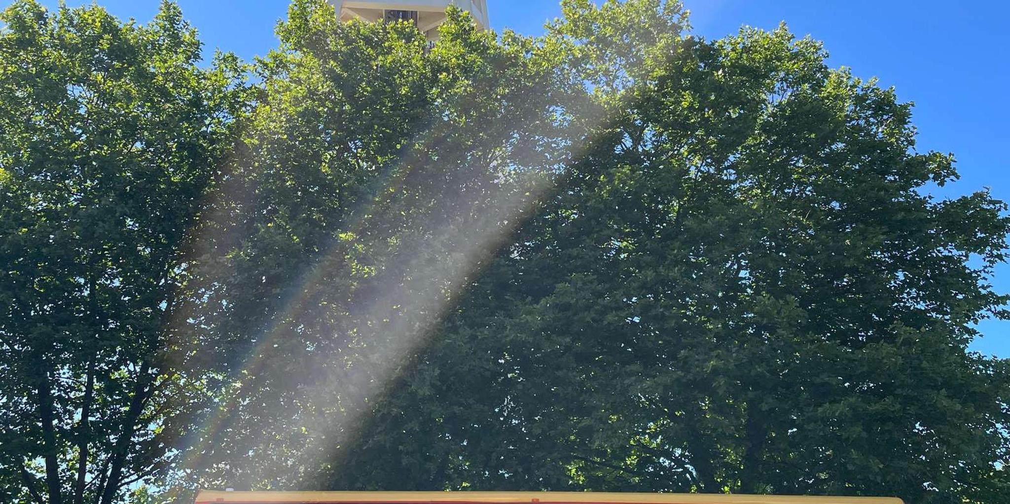 Seattle City Sightseeing Hop-On Hop-Off Bus Tour - Image 2