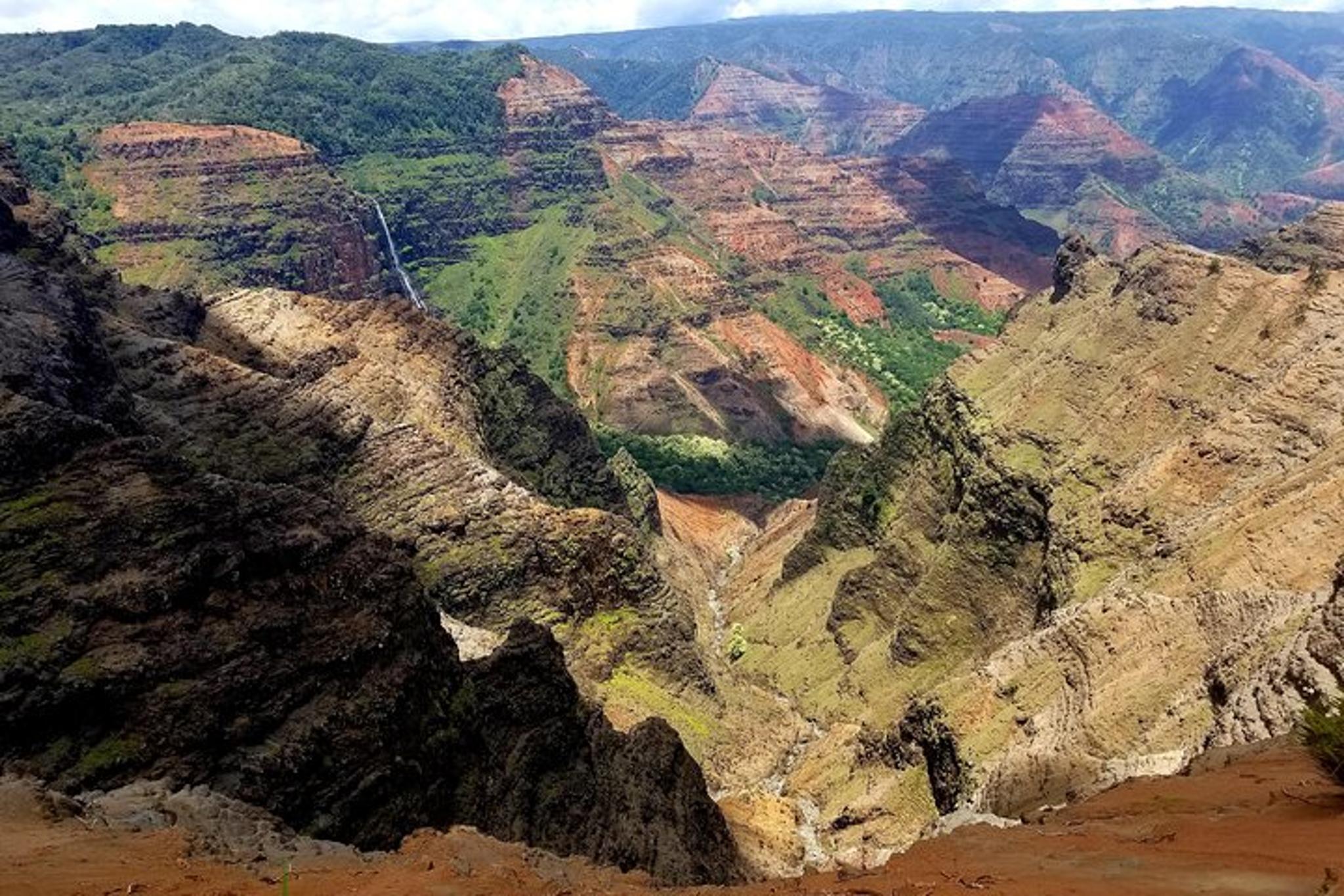 Waimea Canyon Private Tour - Image 2
