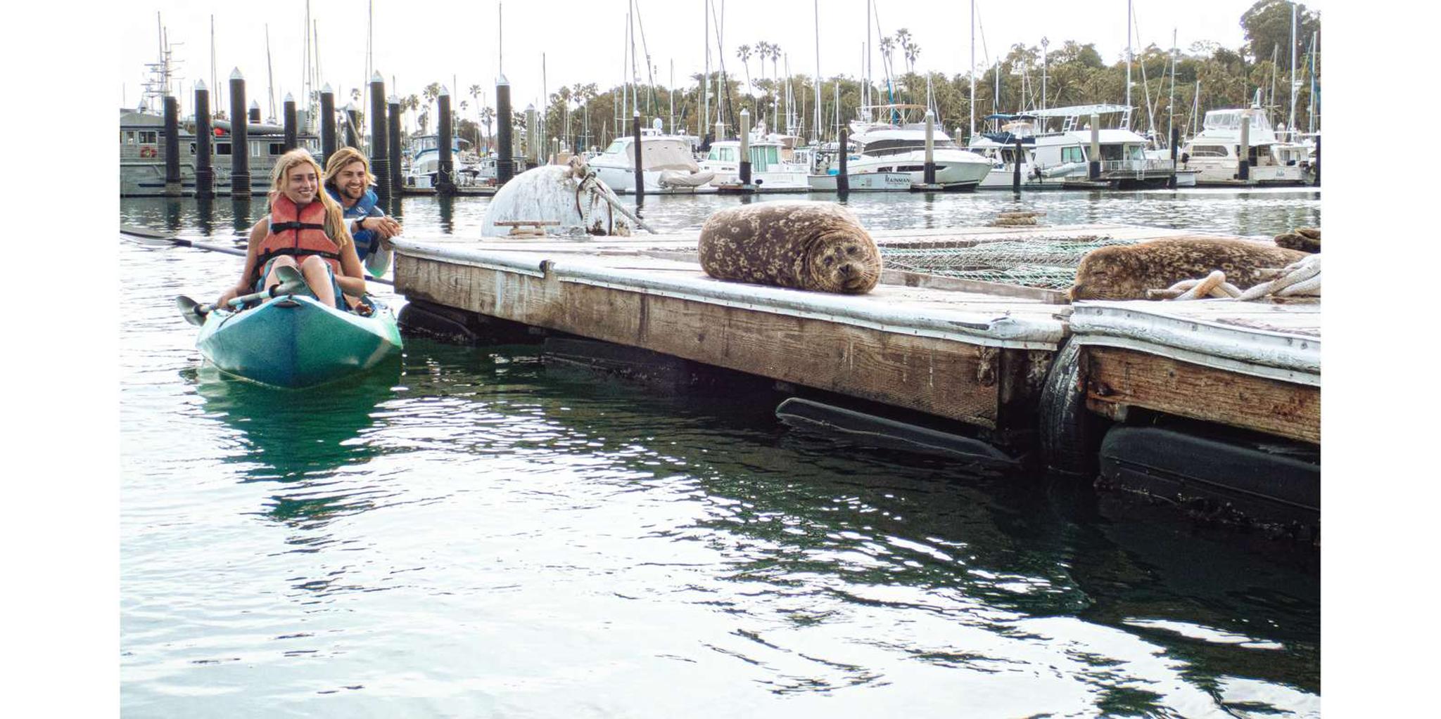 Santa Barbara Harbor Kayak Tour - Image 6