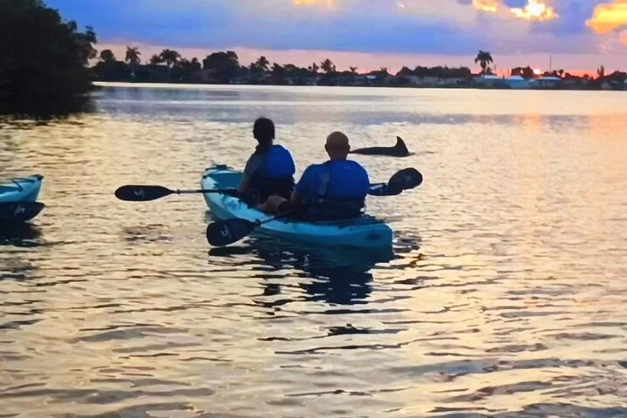 Cocoa Beach Kayak Tour with Dolphins and Manatees - Image 4