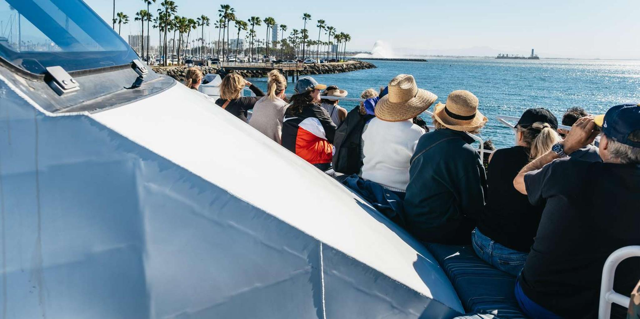 Long Beach Whale Watching Cruise - Image 2