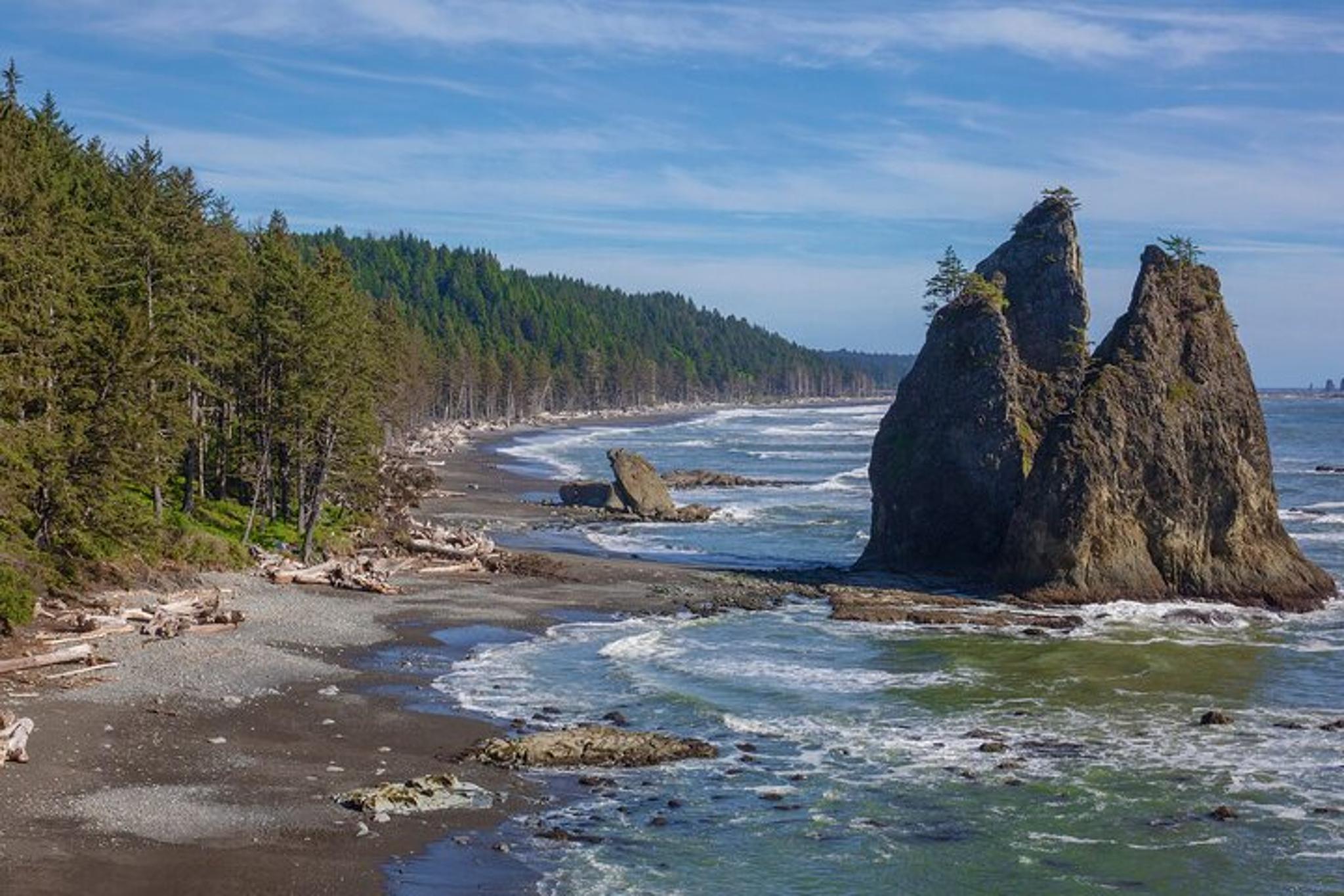 Seattle Hoh Rain Forest and Rialto Beach Tour - Image 4