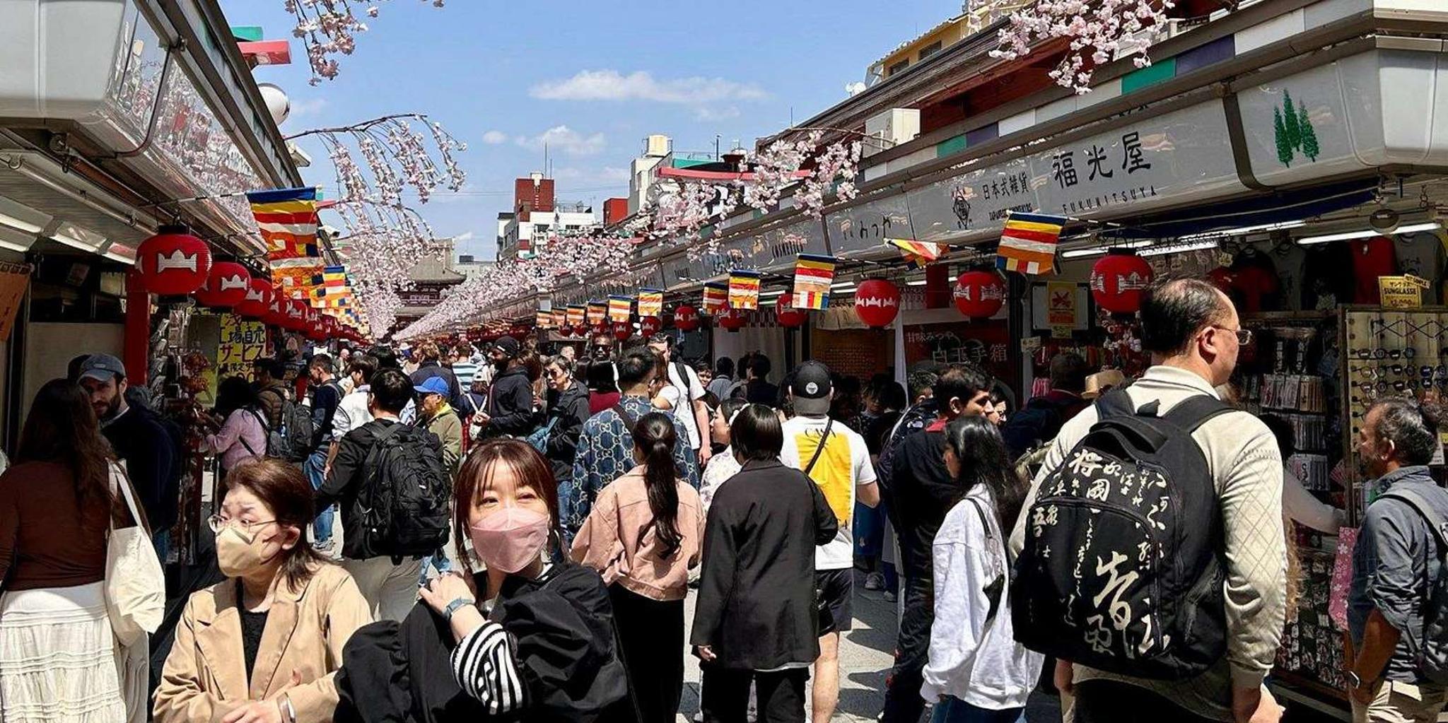 Tokyo Day Tour Shibuya, Asakusa, Meiji Shrine - Image 2