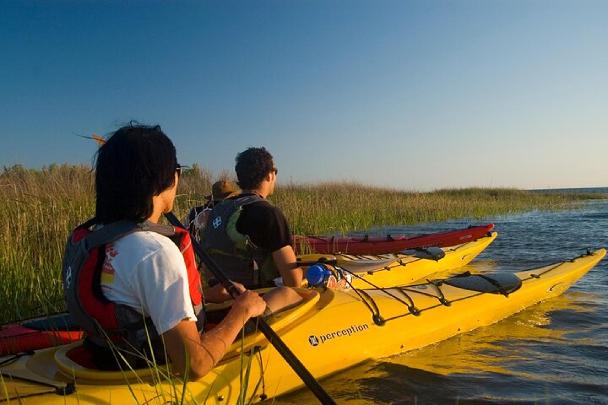 Corolla Kayak Tour in Currituck Sound - Image 4