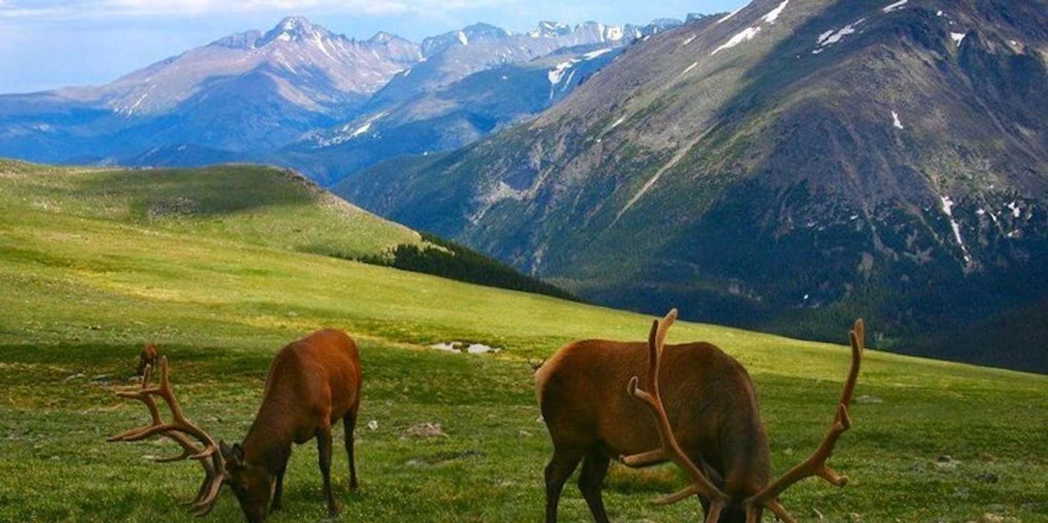Estes Park Bear Lake Corridor Photography Tour 3 hr - Image 2