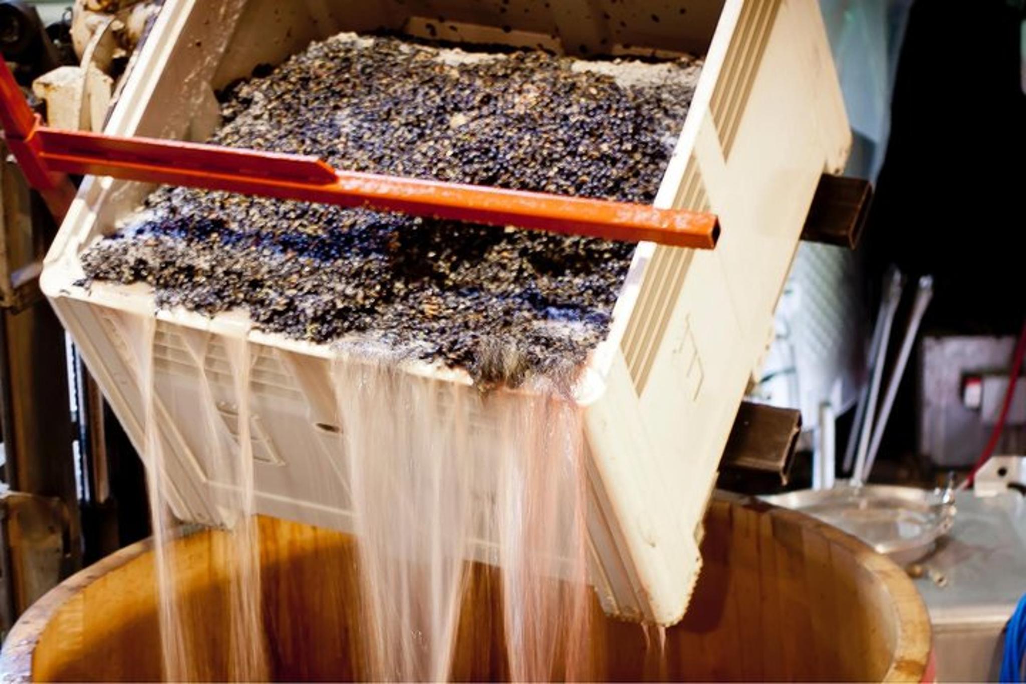 Eugene Wine Tour with Tastings - Image 2