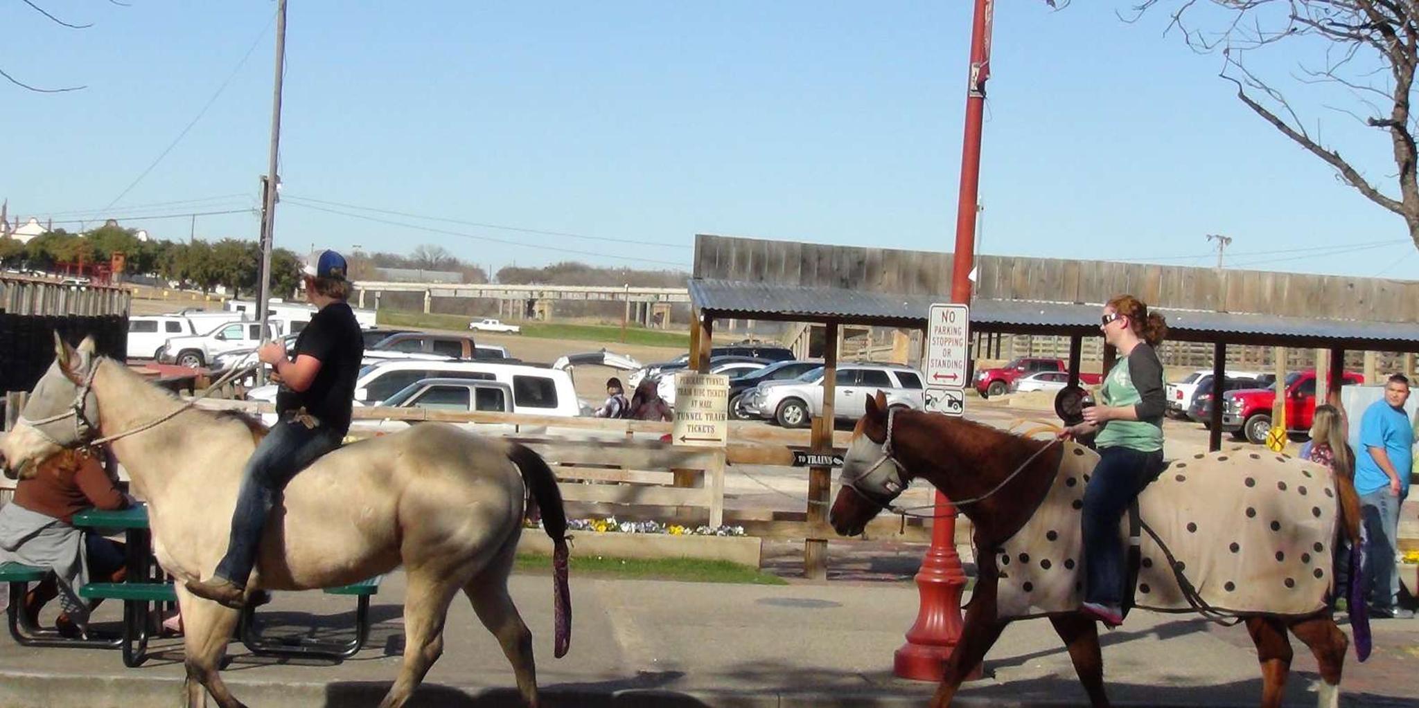 Fort Worth Heritage and Landmarks Open-Air Tour 3 hr - Image 3
