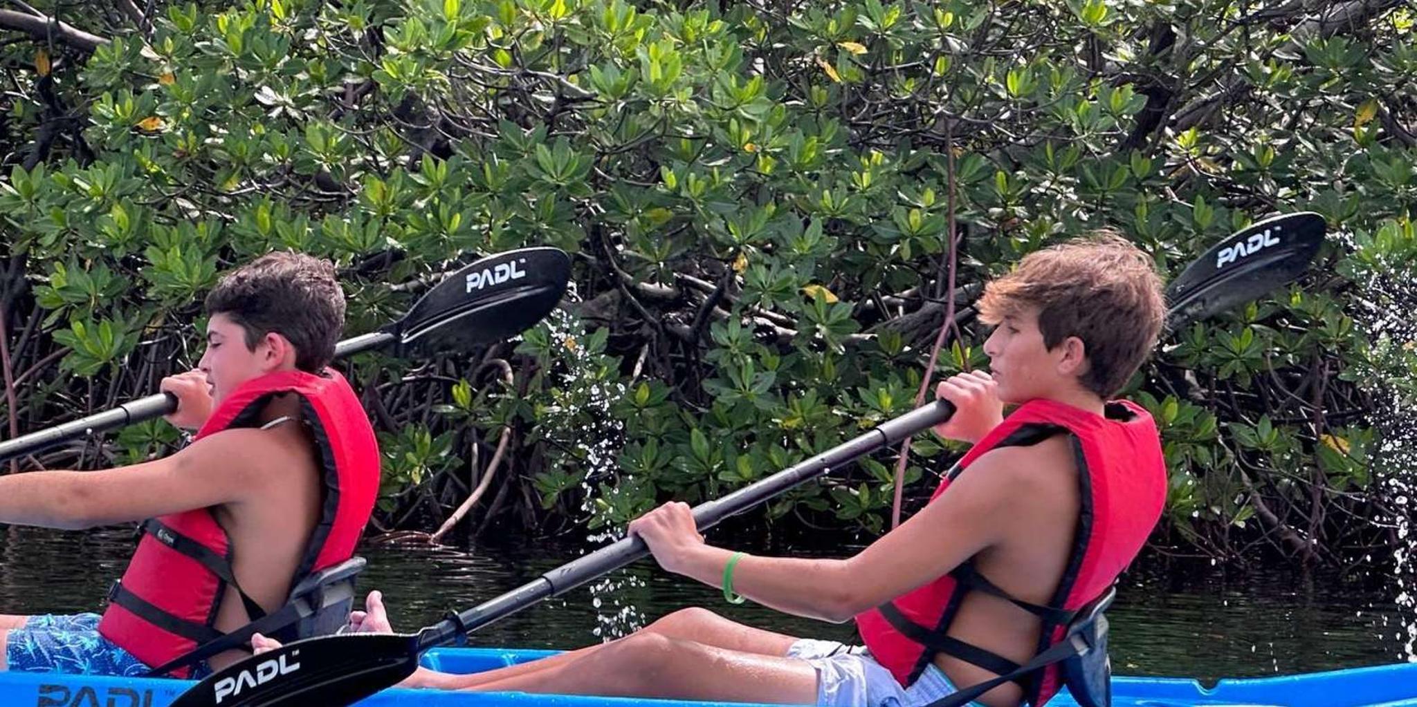 Miami Paddle Board or Kayak Rental in Virginia Key - Image 3