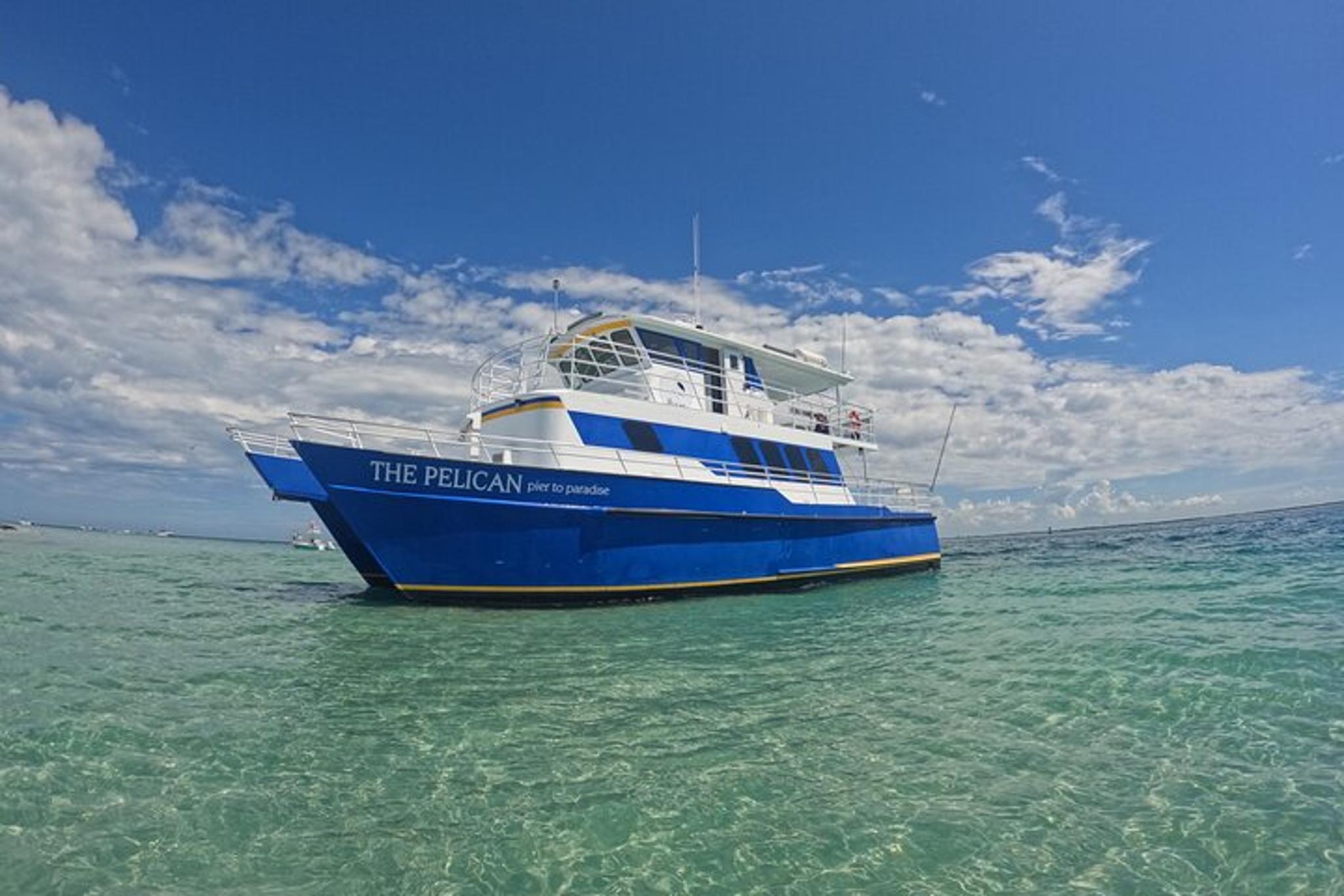St. Petersburg Ferry to Pine Key Experience - Image 2