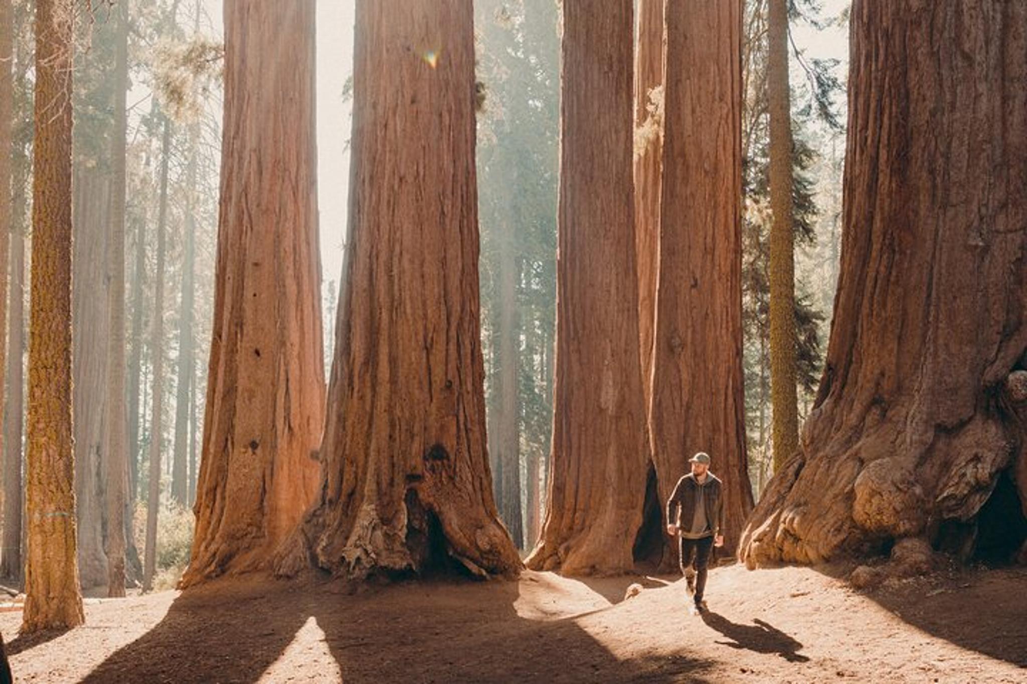 Sequoia & Kings Canyon Private Tour & Hike 2 Days - Image 2