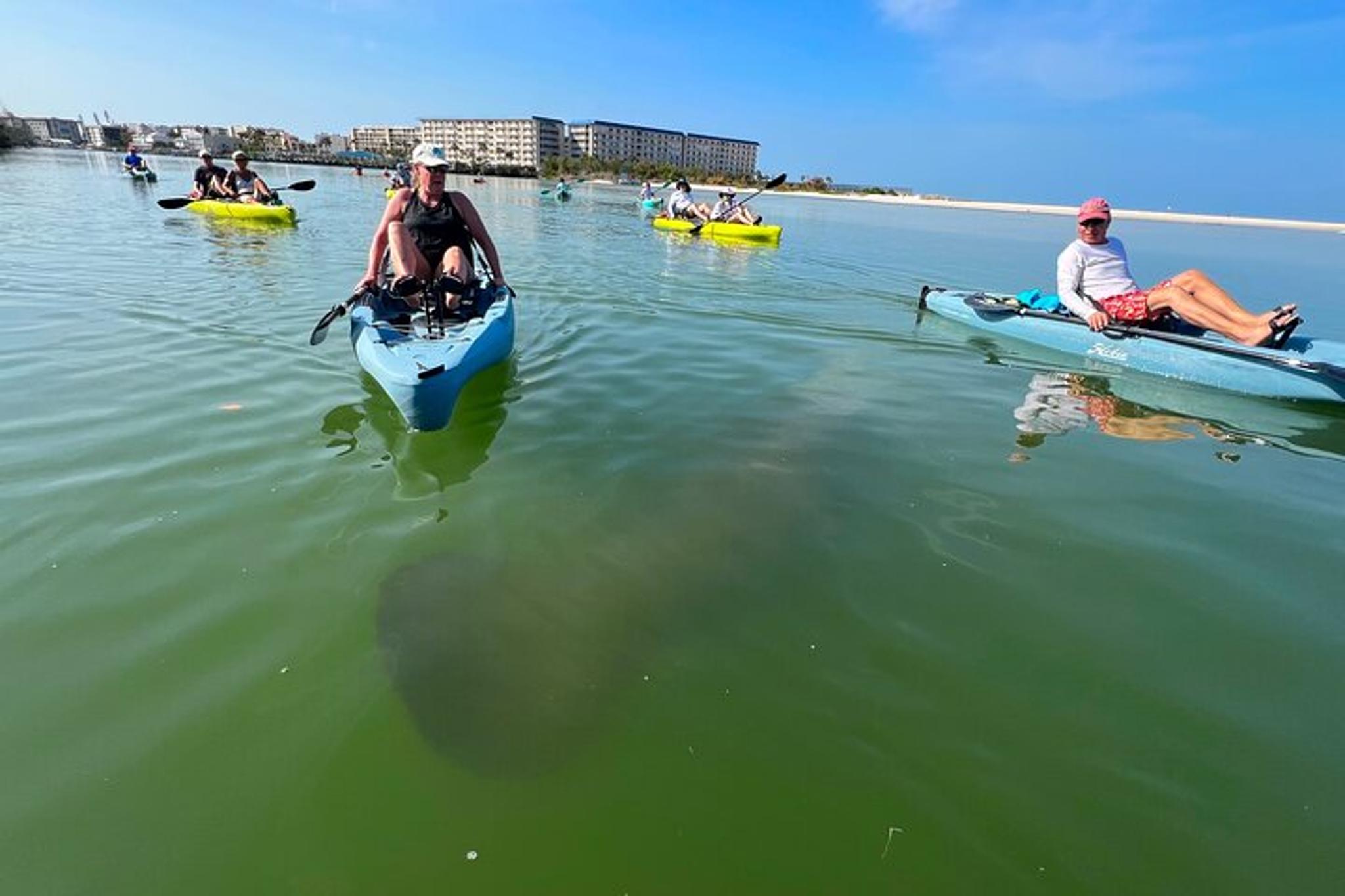 Bonita Springs Kayak EcoTour - Image 6