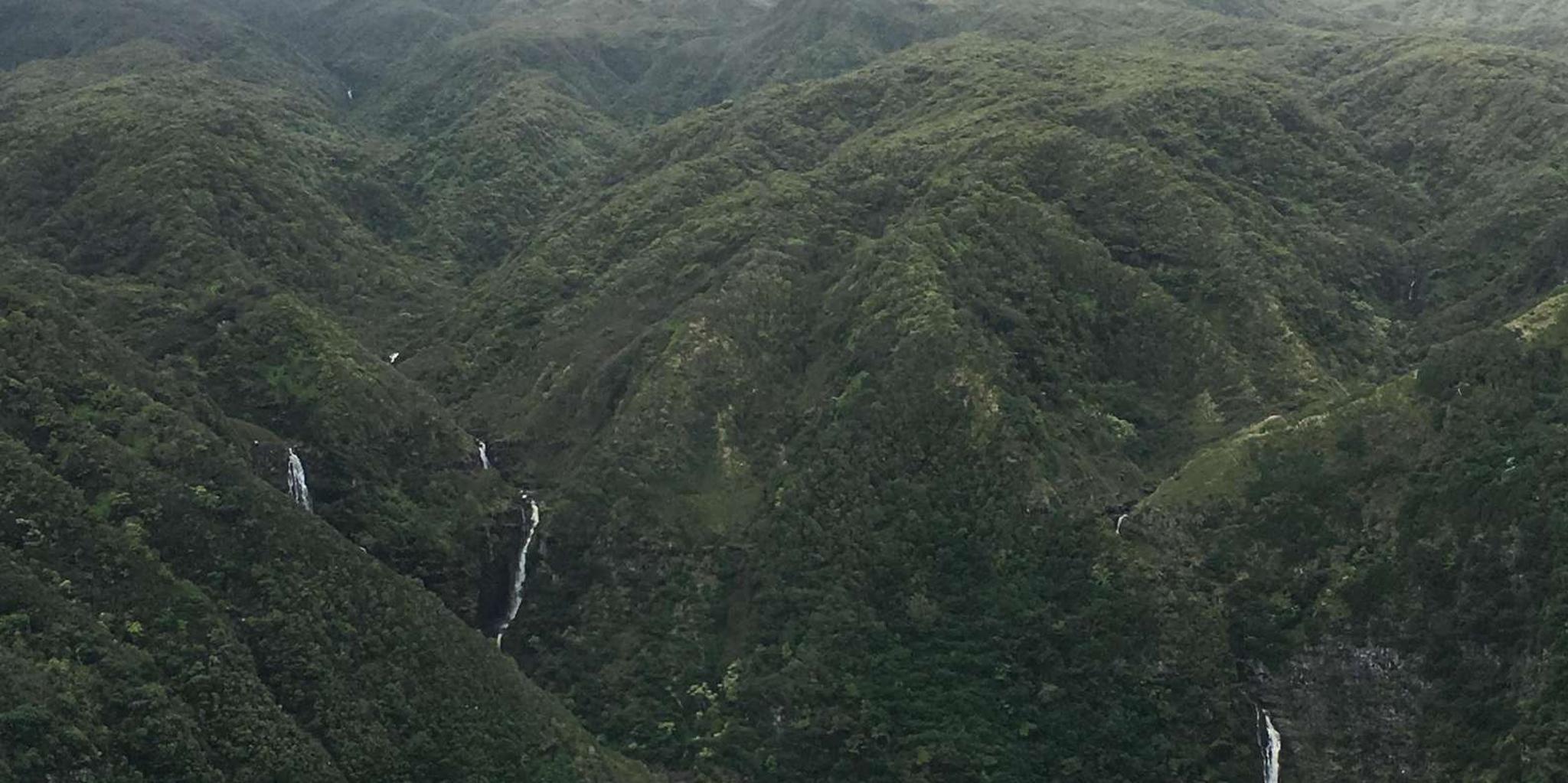 Maui Helicopter Tour Over West Maui and Molokai 45 Min - Image 3