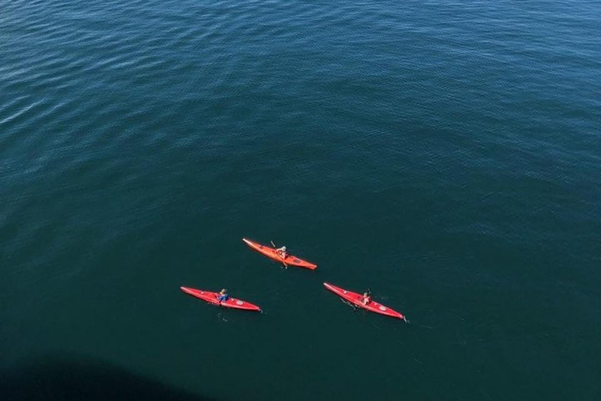 Hoonah Kayak Tour - Image 2