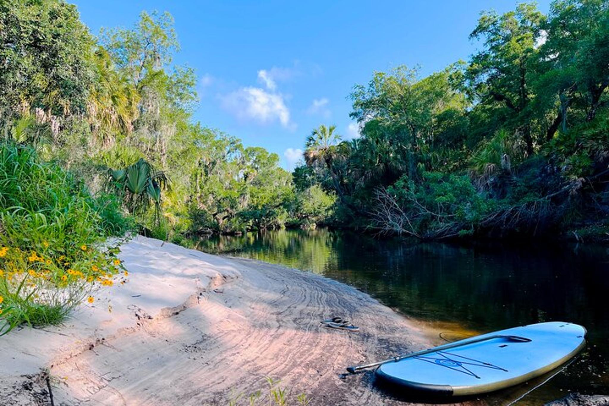 Upper Manatee River Stand Up Paddle Board Tour 2 hr - Image 3