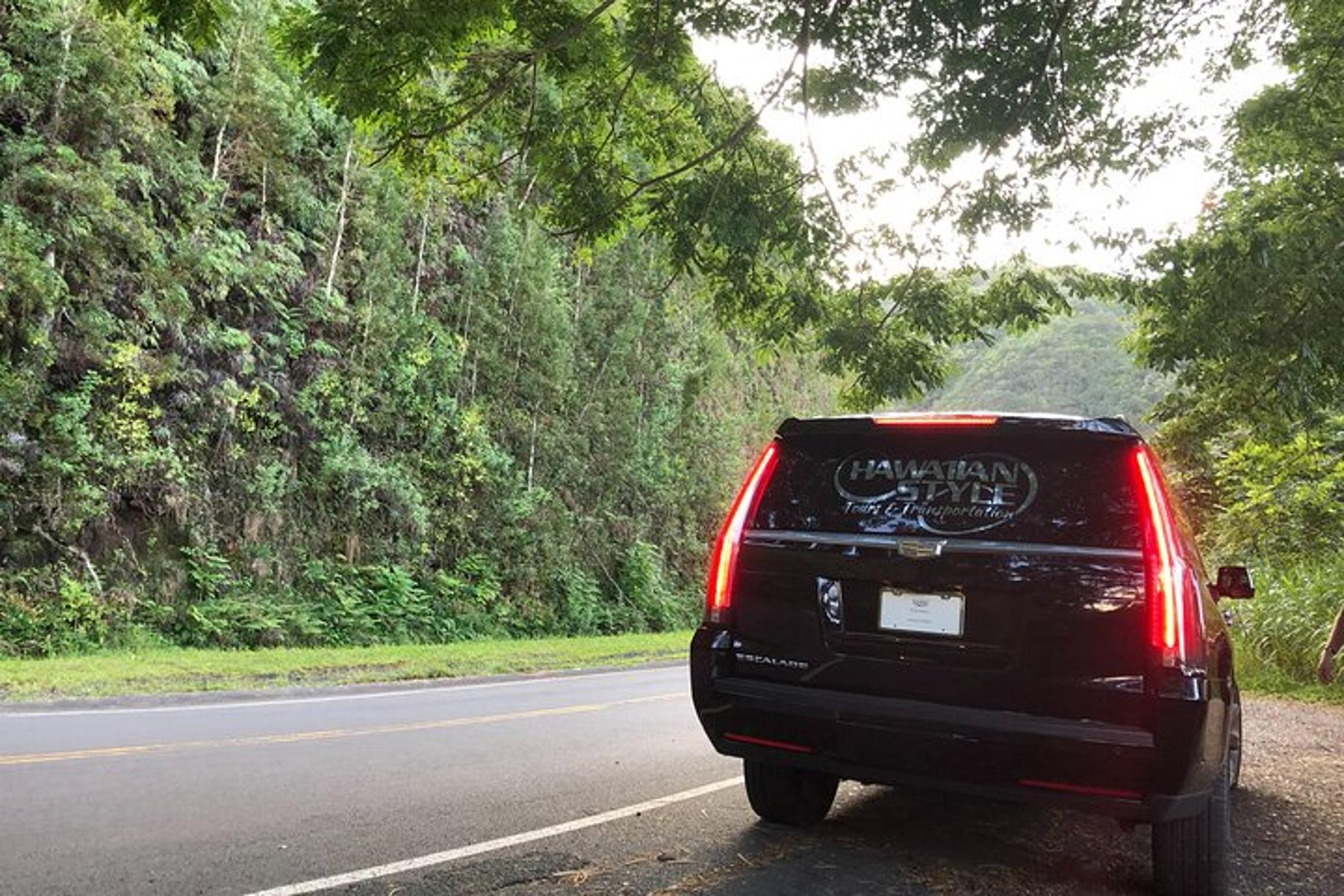 Maui Road to Hana Private Tour - Image 4