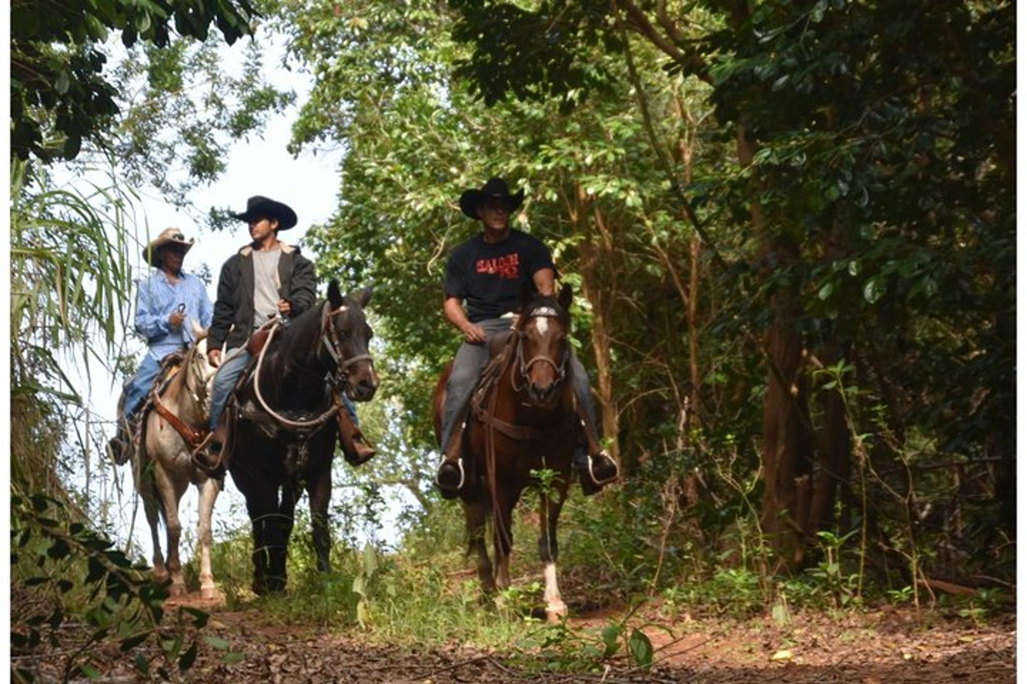 Maui Horseback Waterfall and Ocean Tour - Image 4