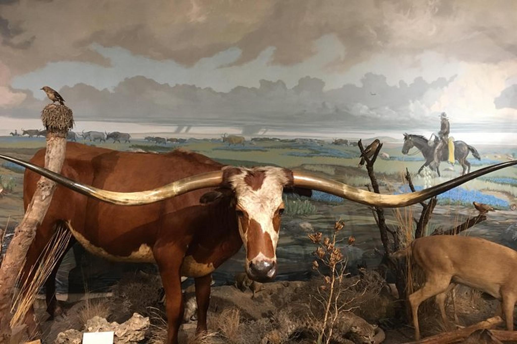 San Antonio History Pub Tour at Menger & Buckhorn - Image 2