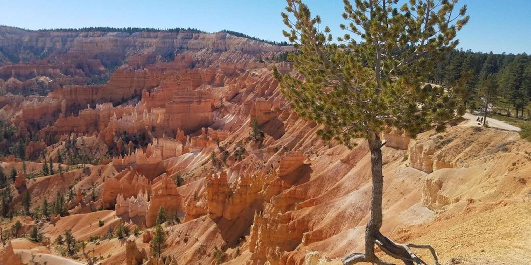 Las Vegas Zion and Bryce Canyon Day Tour - Image 2