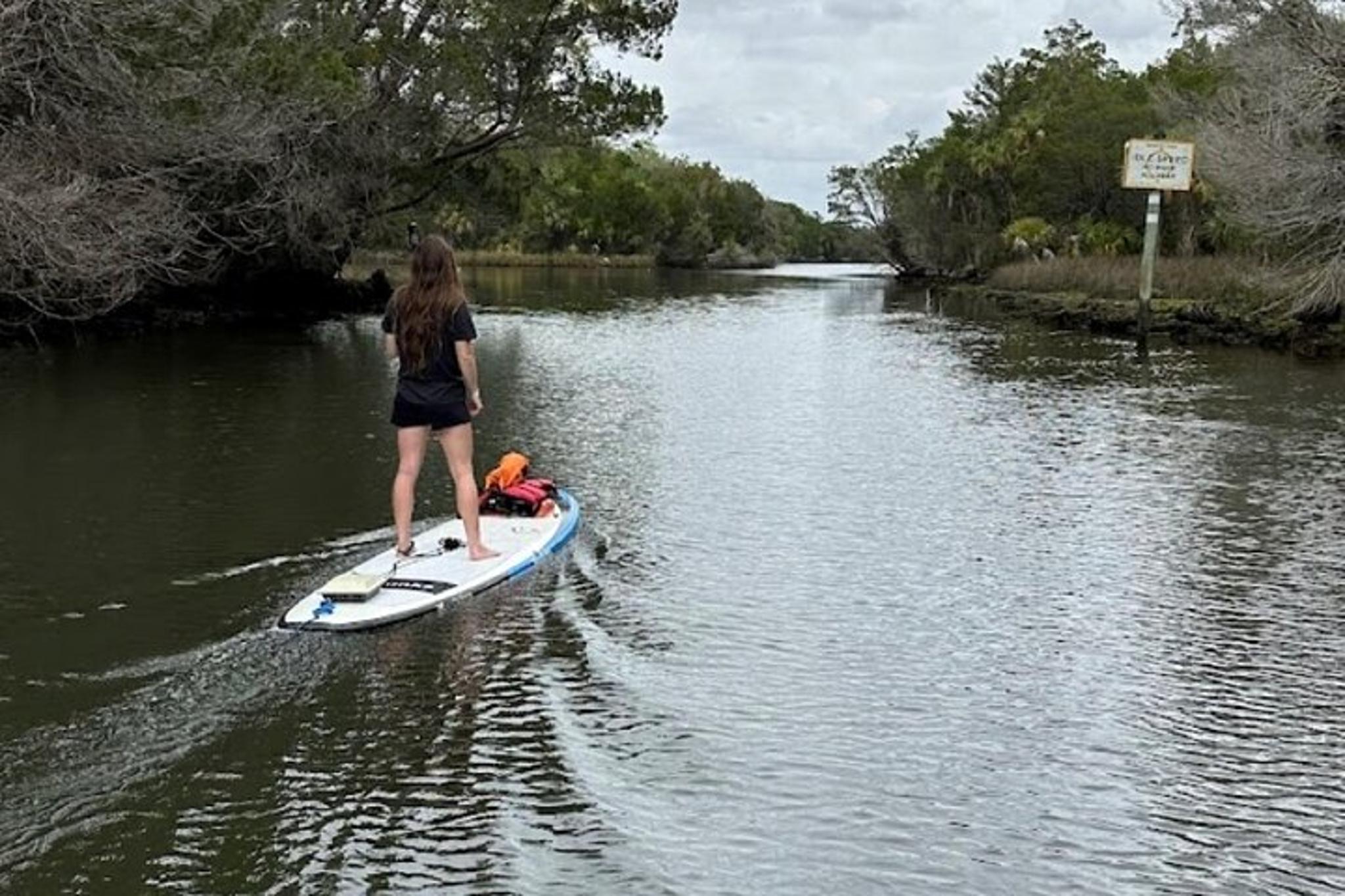 Crystal River Electric Paddleboard Tour - Image 5