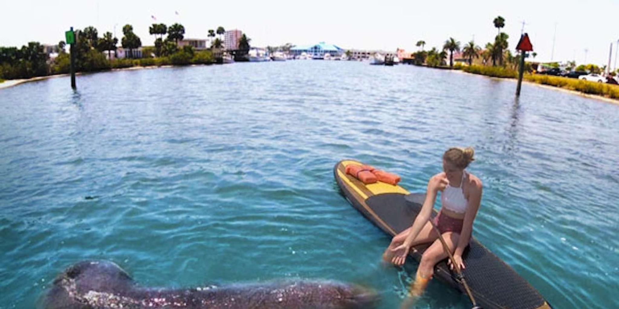 Daytona Beach Stand Up Paddleboard Tour
