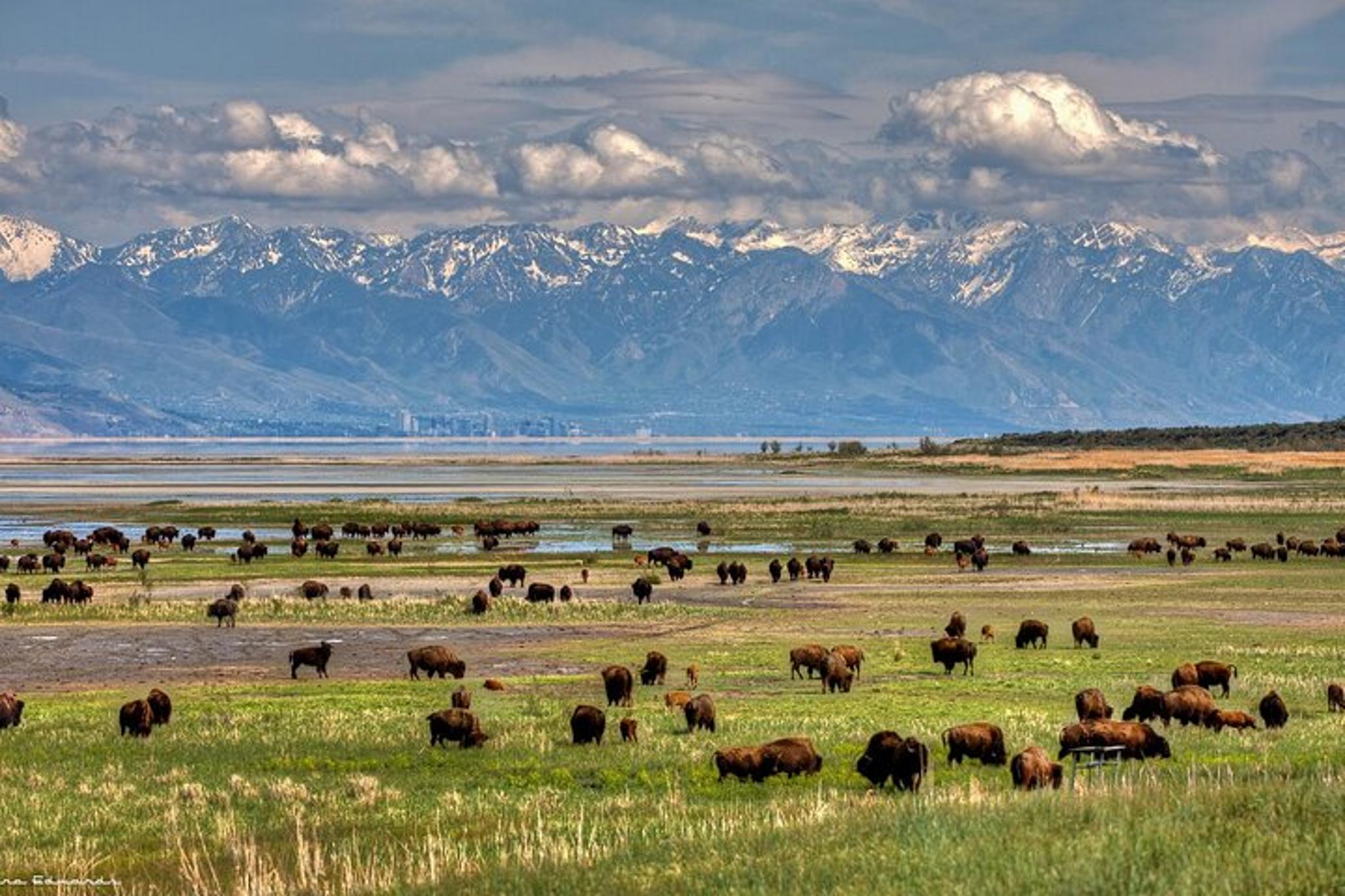 Salt Lake City National Parks Tour 8 Days - Image 6