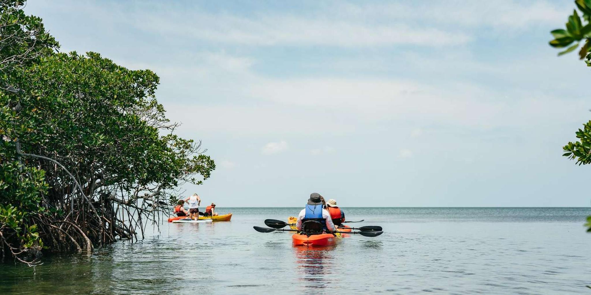 Key West Kayak and Sandbar Tour with Lunch - Image 5