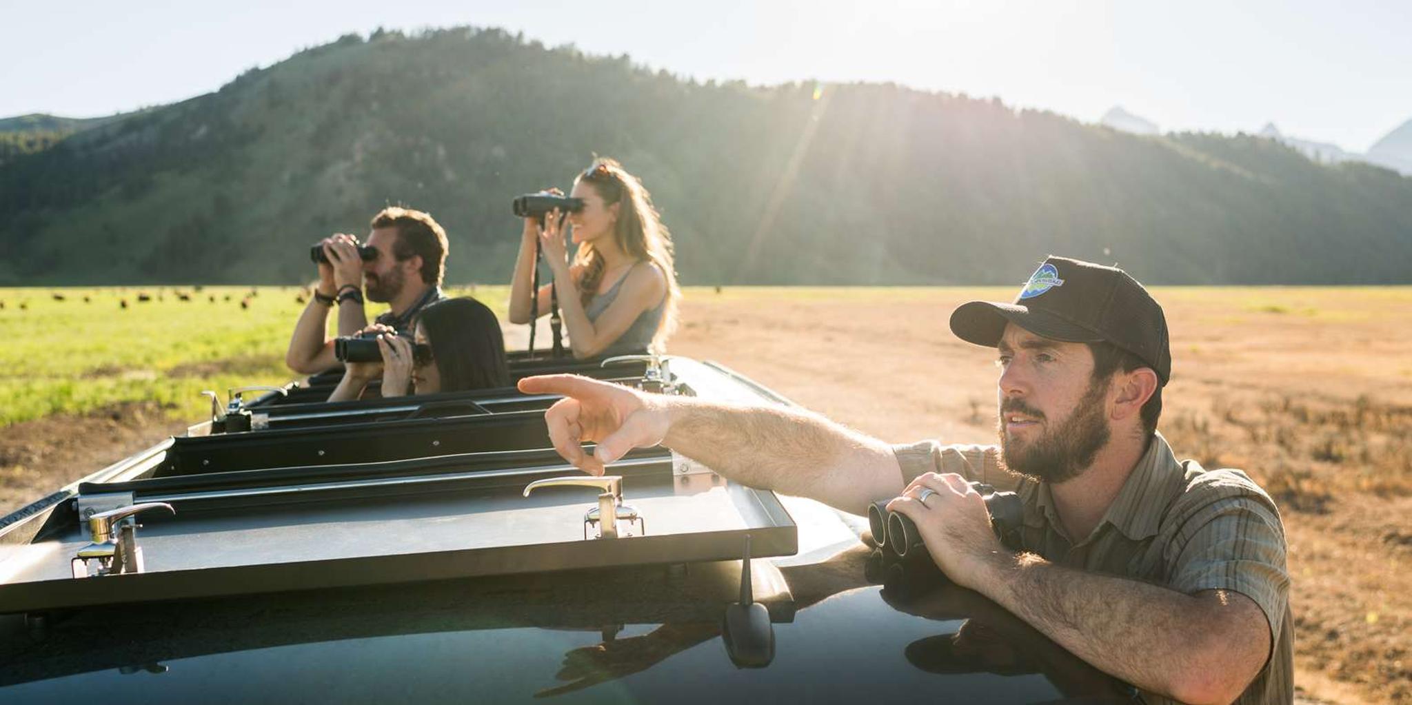 Jackson Grand Teton Wildlife Safari 4 hr - Image 4