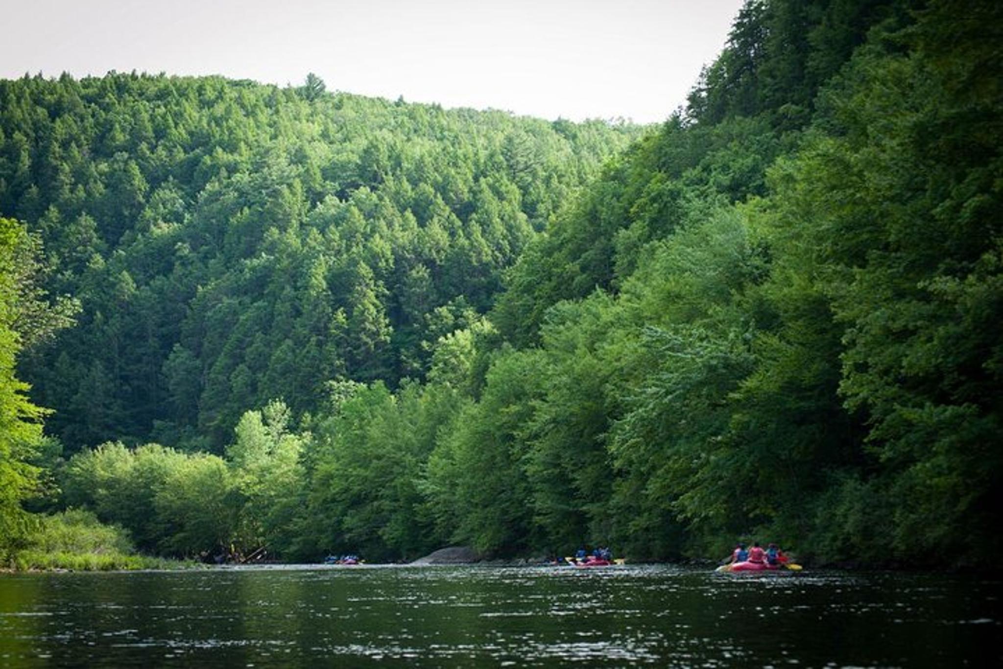 NYC Whitewater Rafting Bus Trip - Image 3