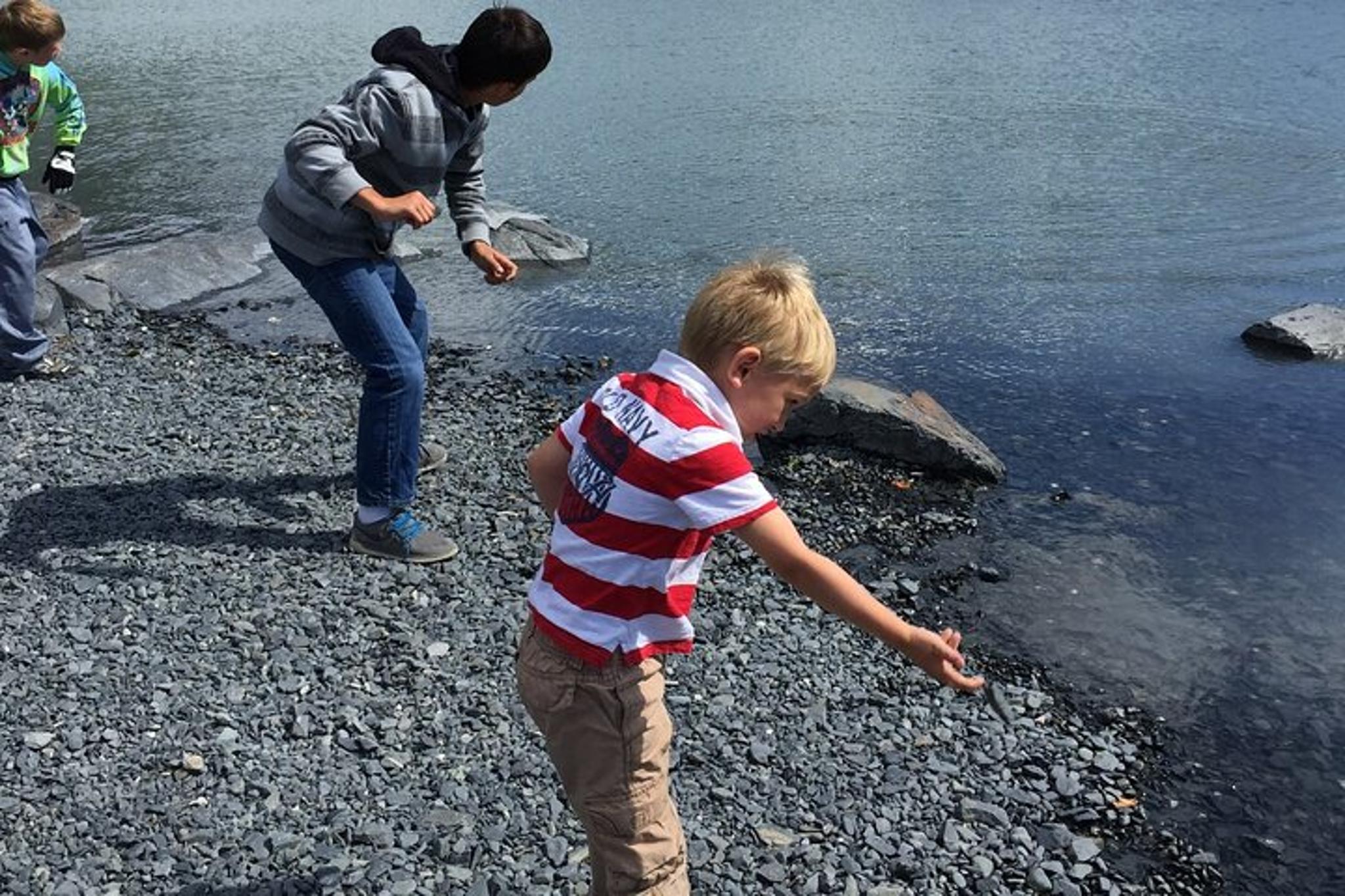 Whittier to Anchorage Wildlife Sightseeing Tour - Image 2