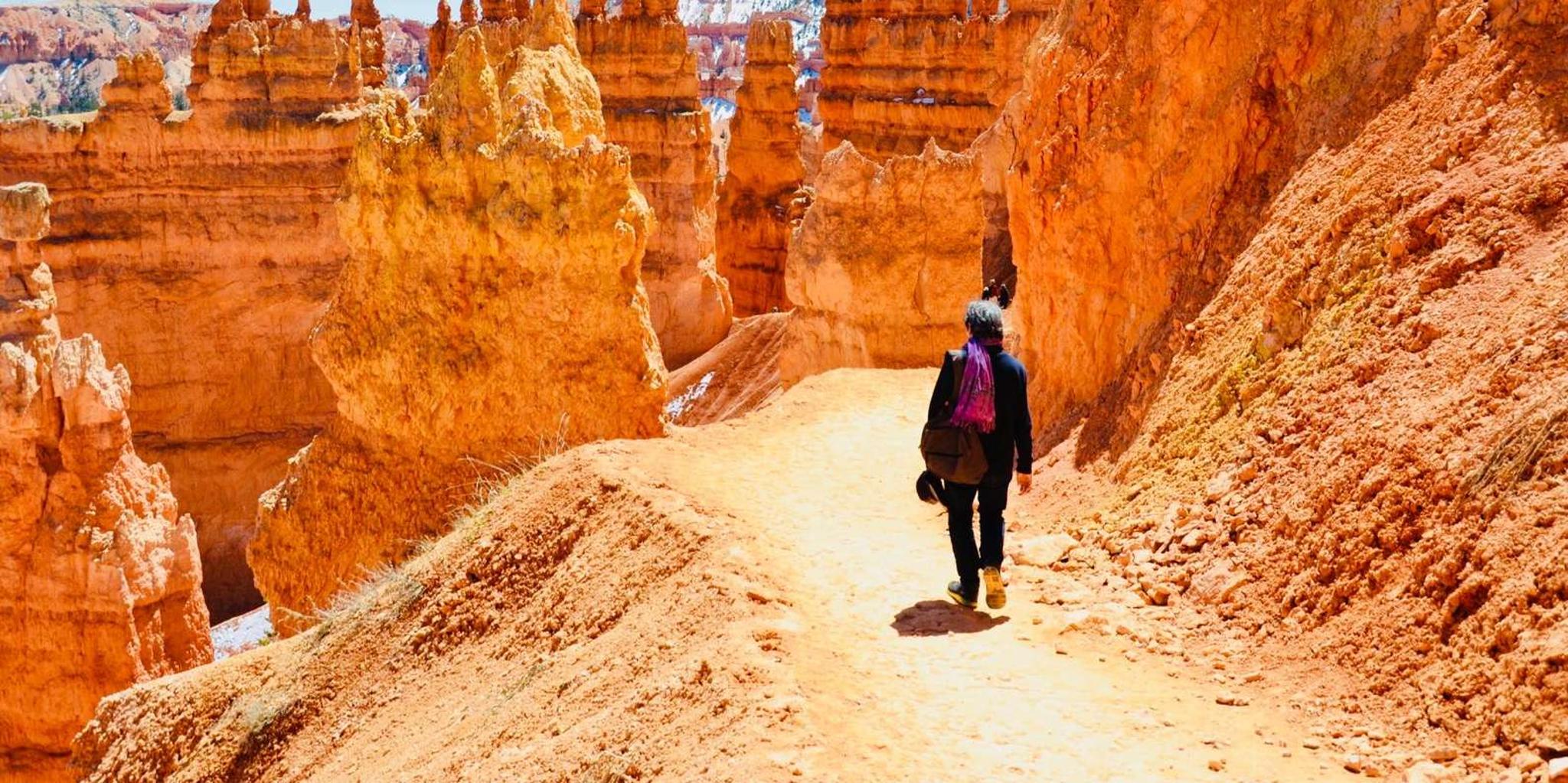 Las Vegas Zion and Bryce Canyon Day Trip