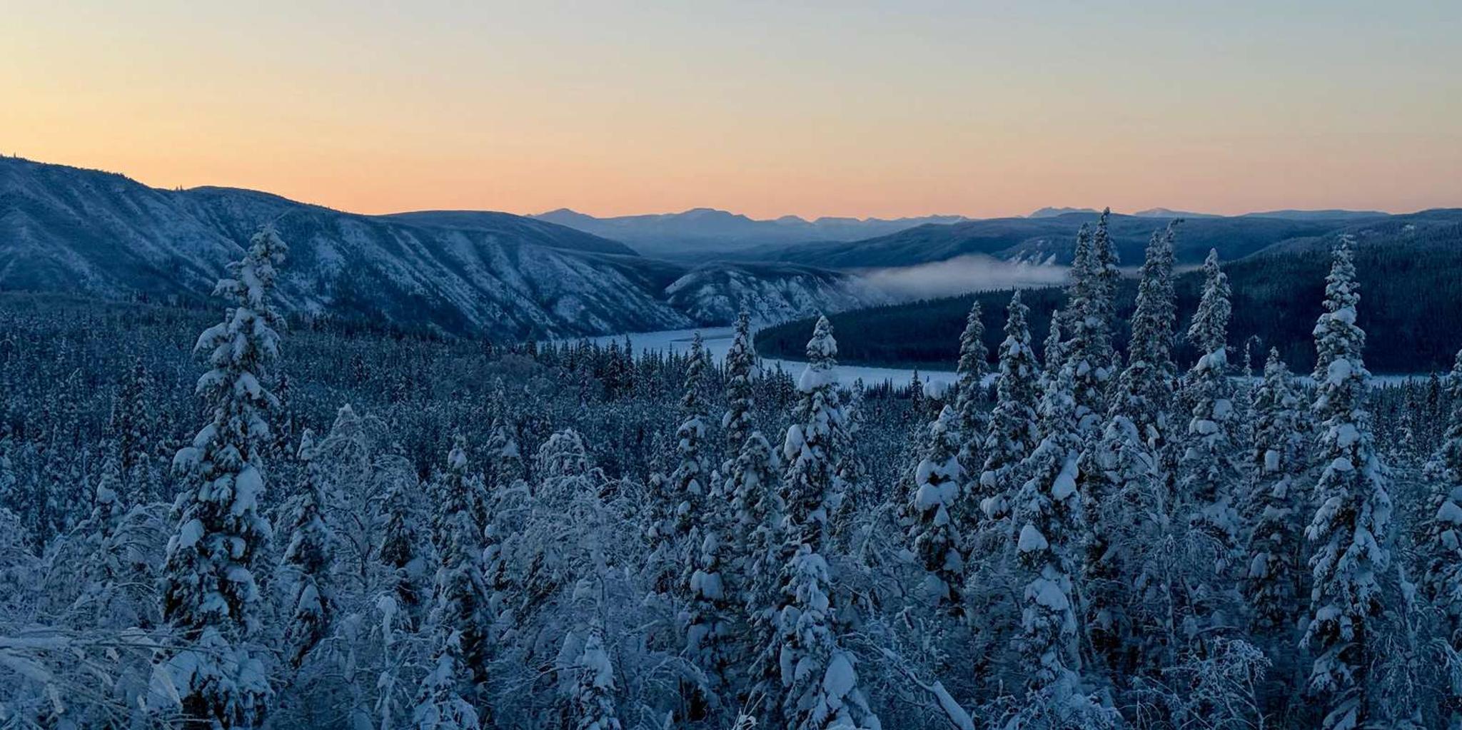 Fairbanks Arctic Circle Northern Lights Tour - Image 5