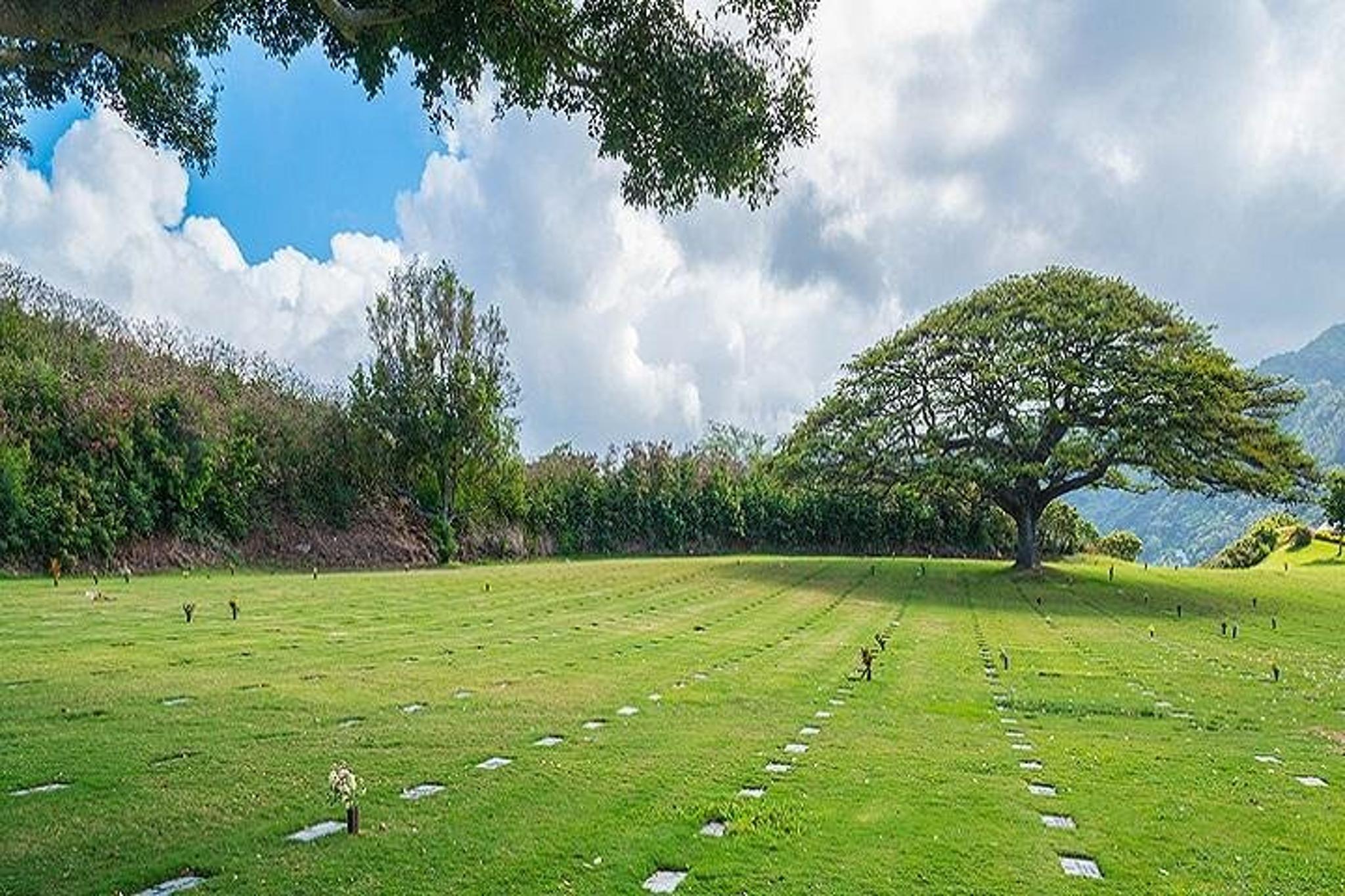 Pearl Harbor Battleship Tour from Maui - Image 2