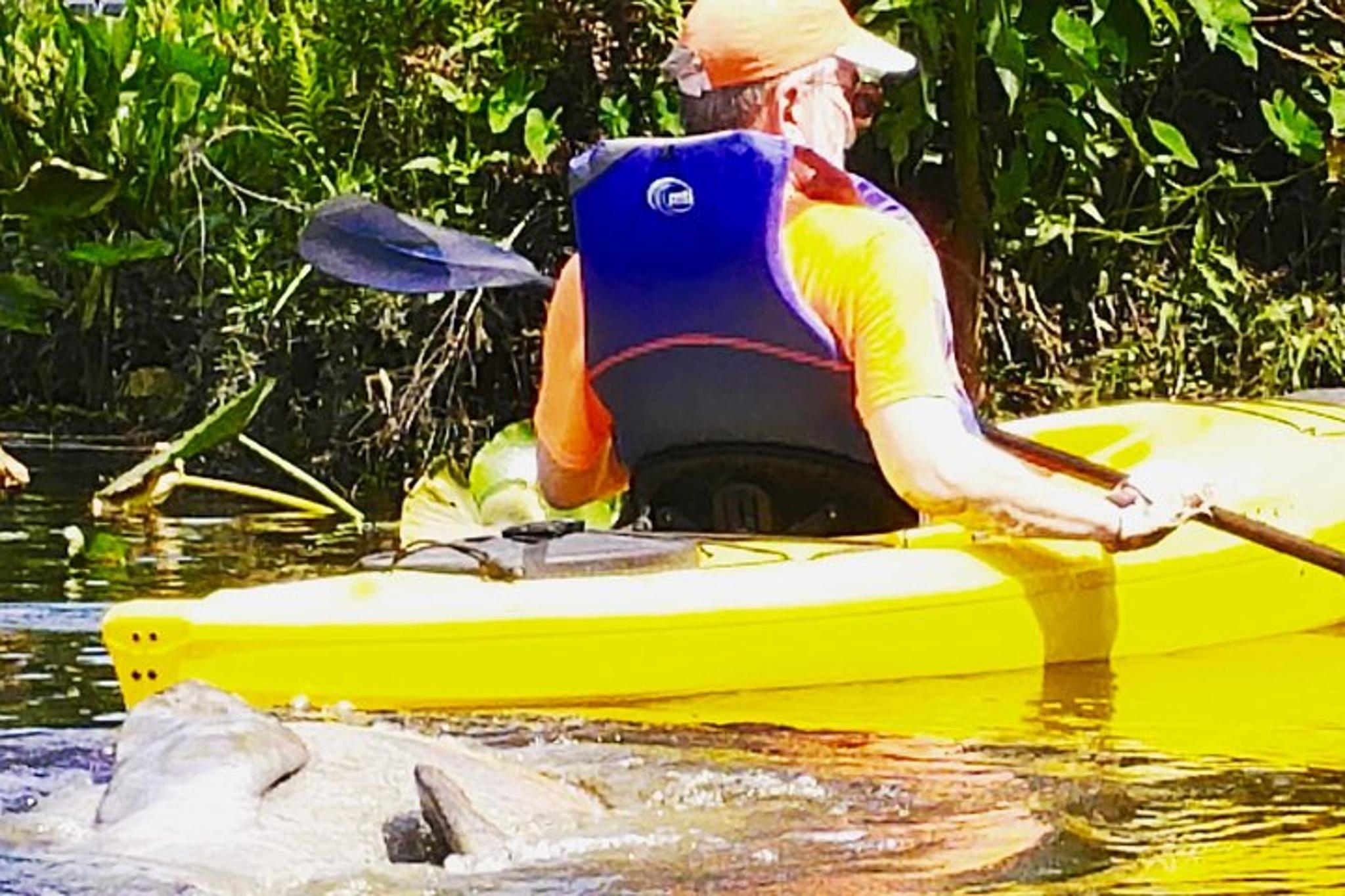Orlando Manatee Kayak Tour 2 hr - Image 4