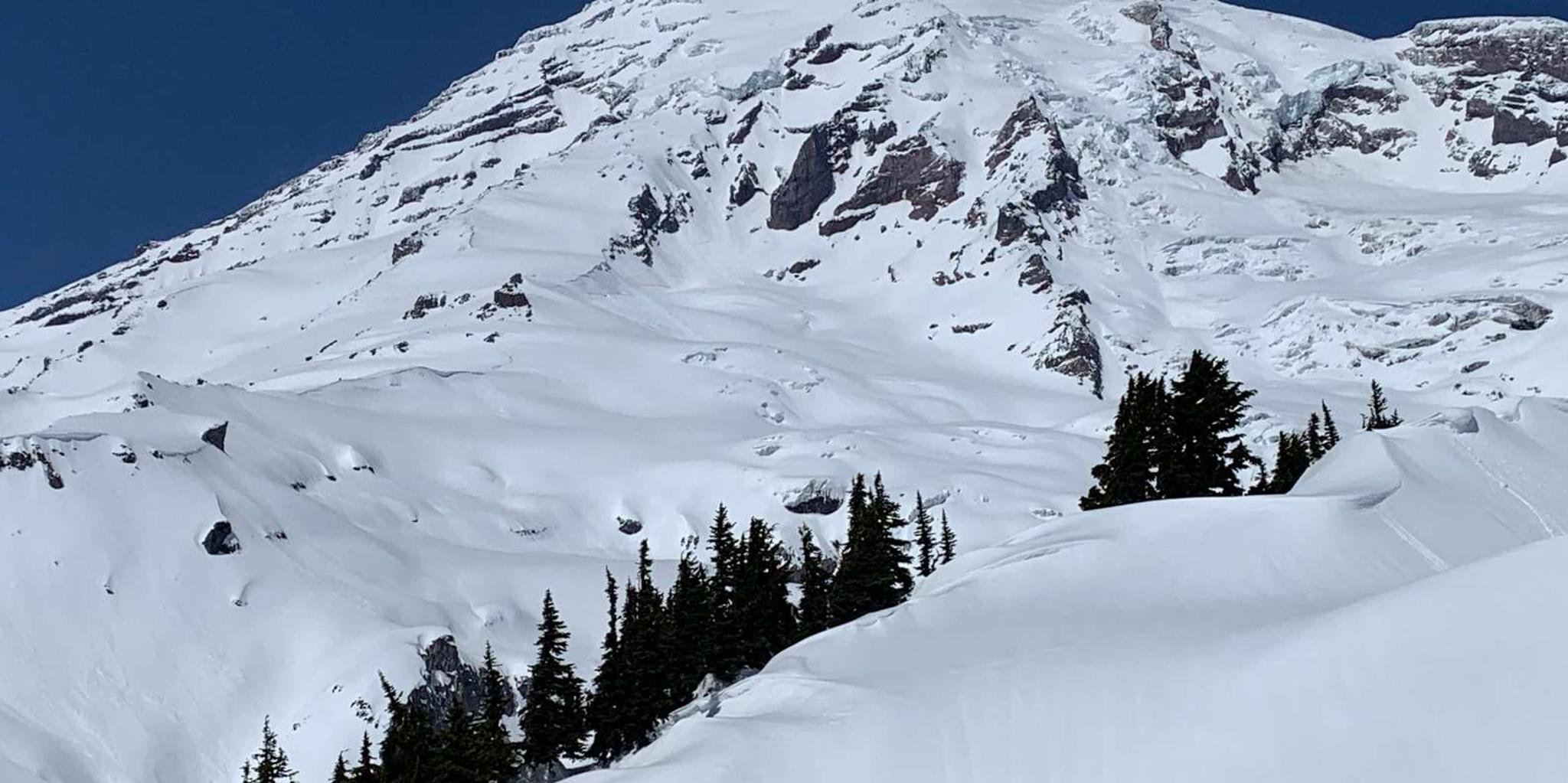 Seattle Mt. Rainier Guided Hike - Image 2