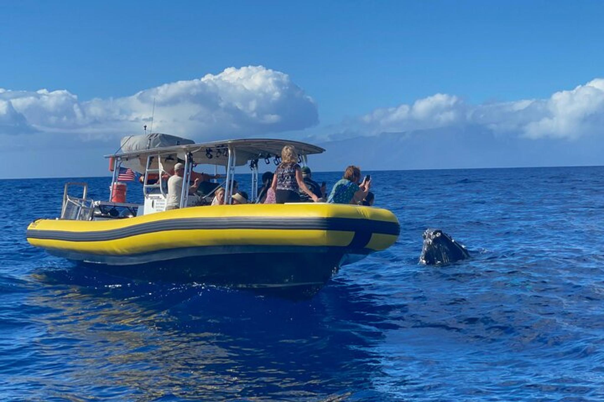 Lahaina Whale Watching Raft Tour 2 hr - Image 6
