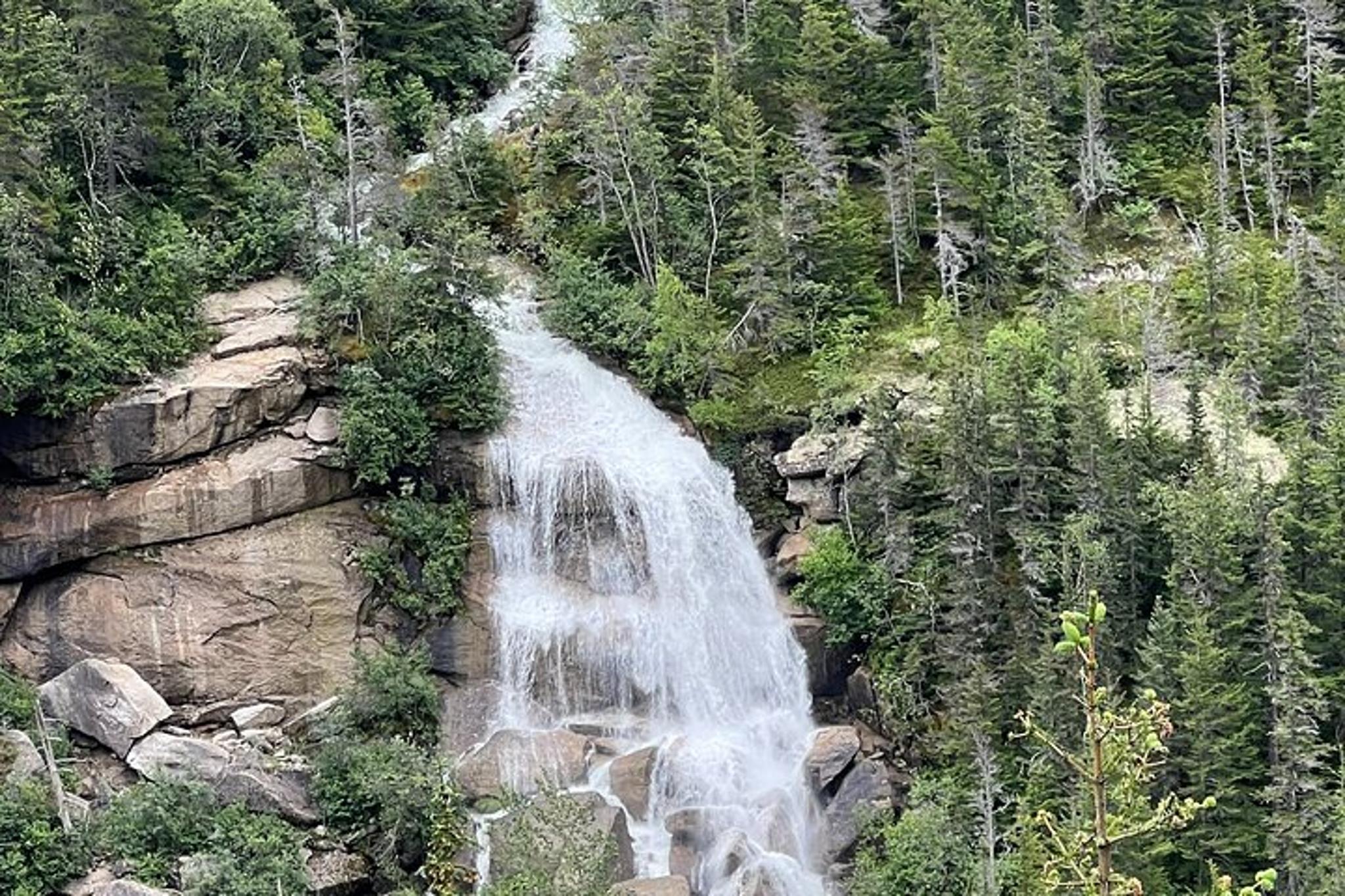 Skagway Waterfall Tour - Image 5